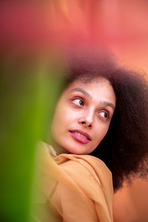 Free A serene portrait of a woman with an afro hairstyle, captured in warm soft lighting. Stock Photo