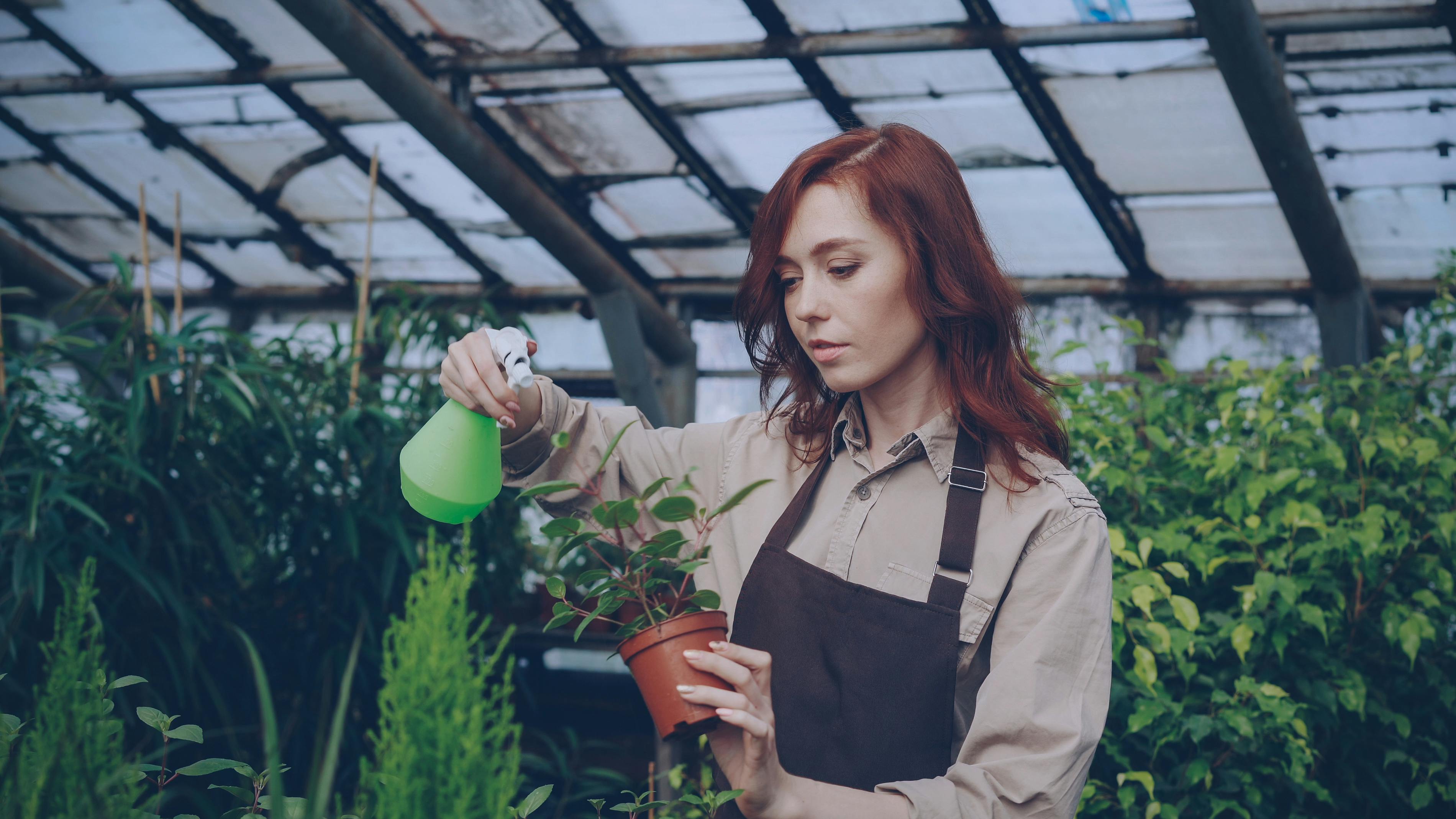 The Gardening Tools That Horticulturalists Swear By — Photo by Vitaly Gariev on Pexels
