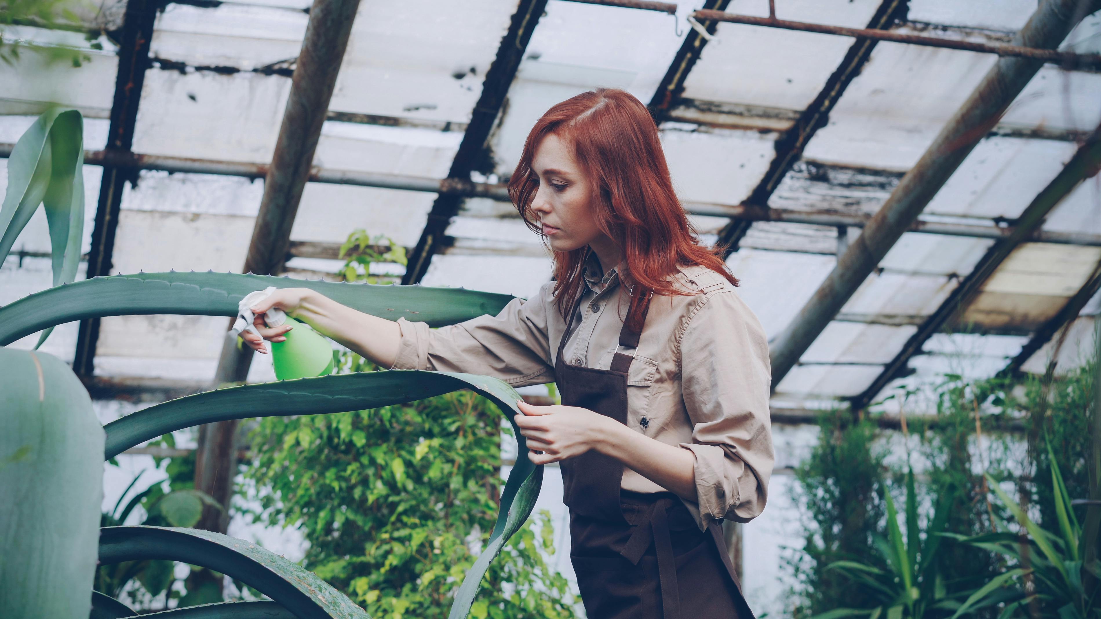 The Gardening Tools That Horticulturalists Swear By | Reviews by Wirecutter — Photo by Vitaly Gariev on Pexels
