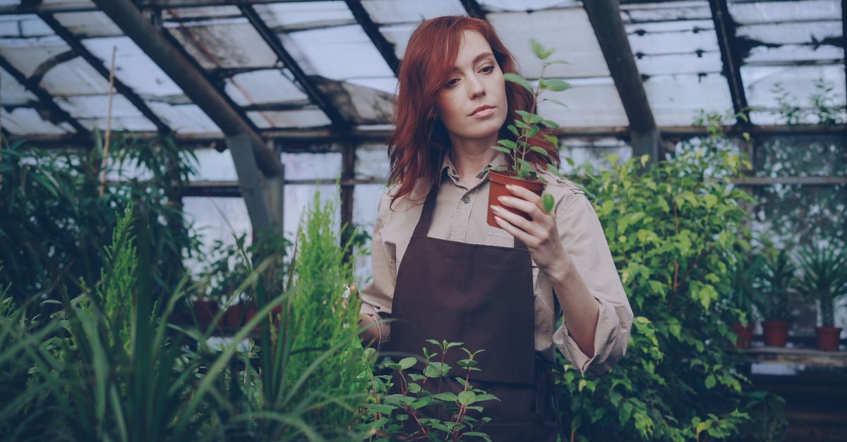 Why Your Indoor Plants Are Always Leggy (And What Actually Works to Encourage Bushy Growth)