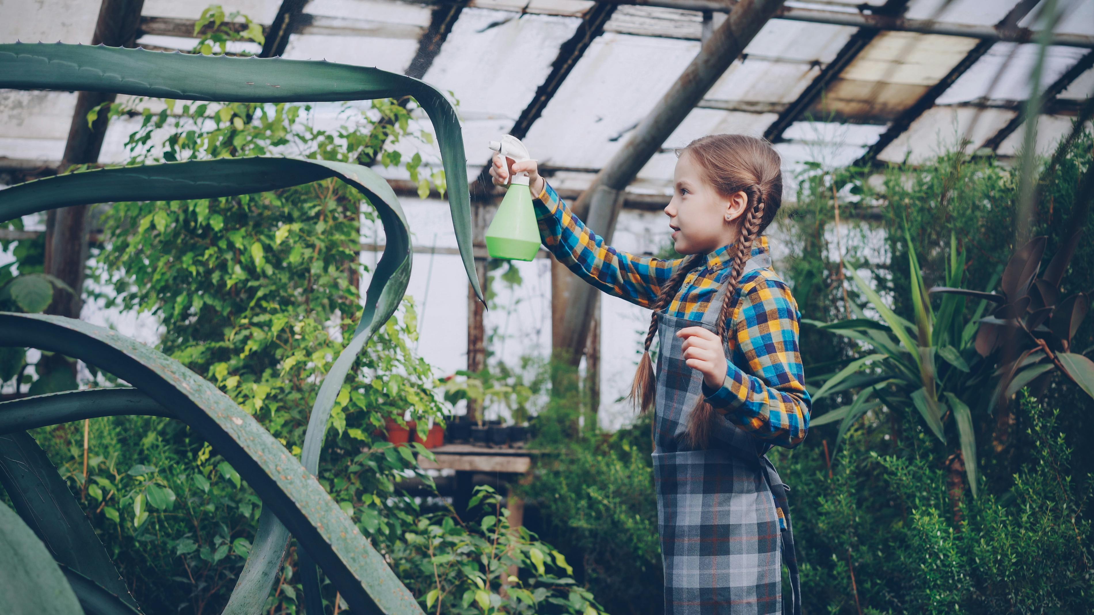 gardening, gardening leave, gardening tools, gardening gloves, gardening leave meaning, gardening hoe, gardening shoes, garde