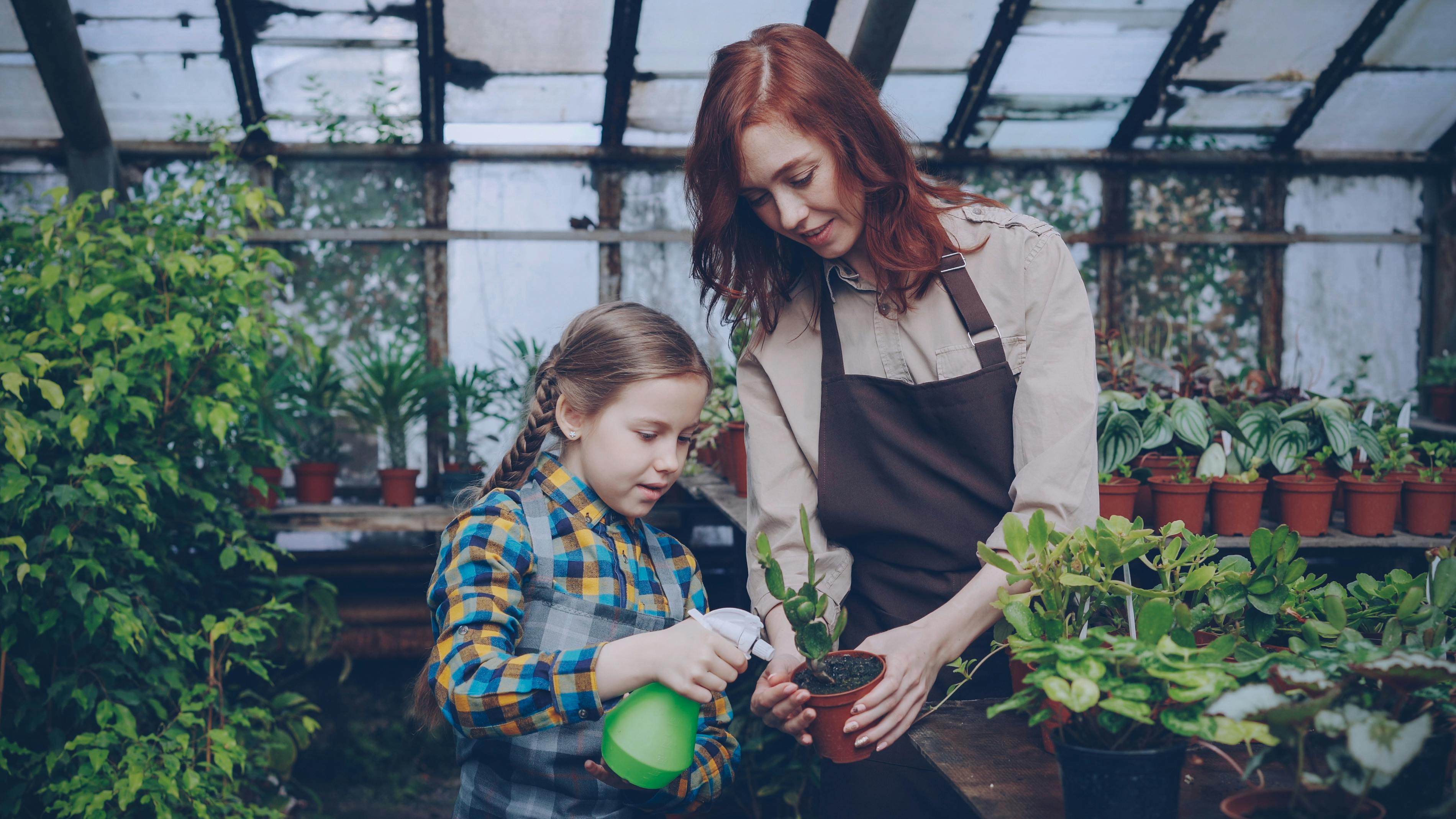 5 gardening tips you can try right in Search — Photo by Vitaly Gariev on Pexels