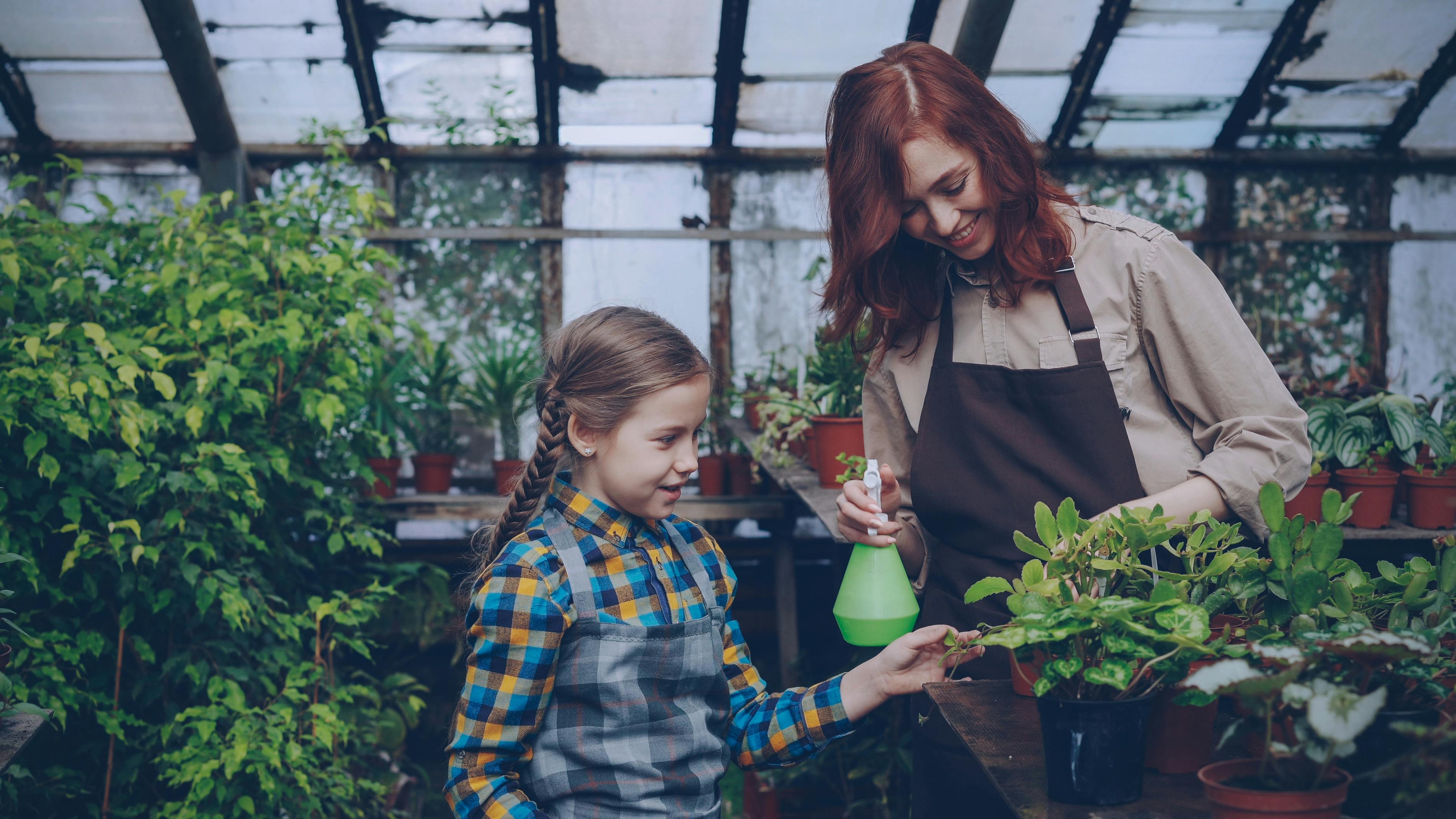 8 DeWalt Gardening Tools You Probably Didn't Realize Existed — Photo by Vitaly Gariev on Pexels