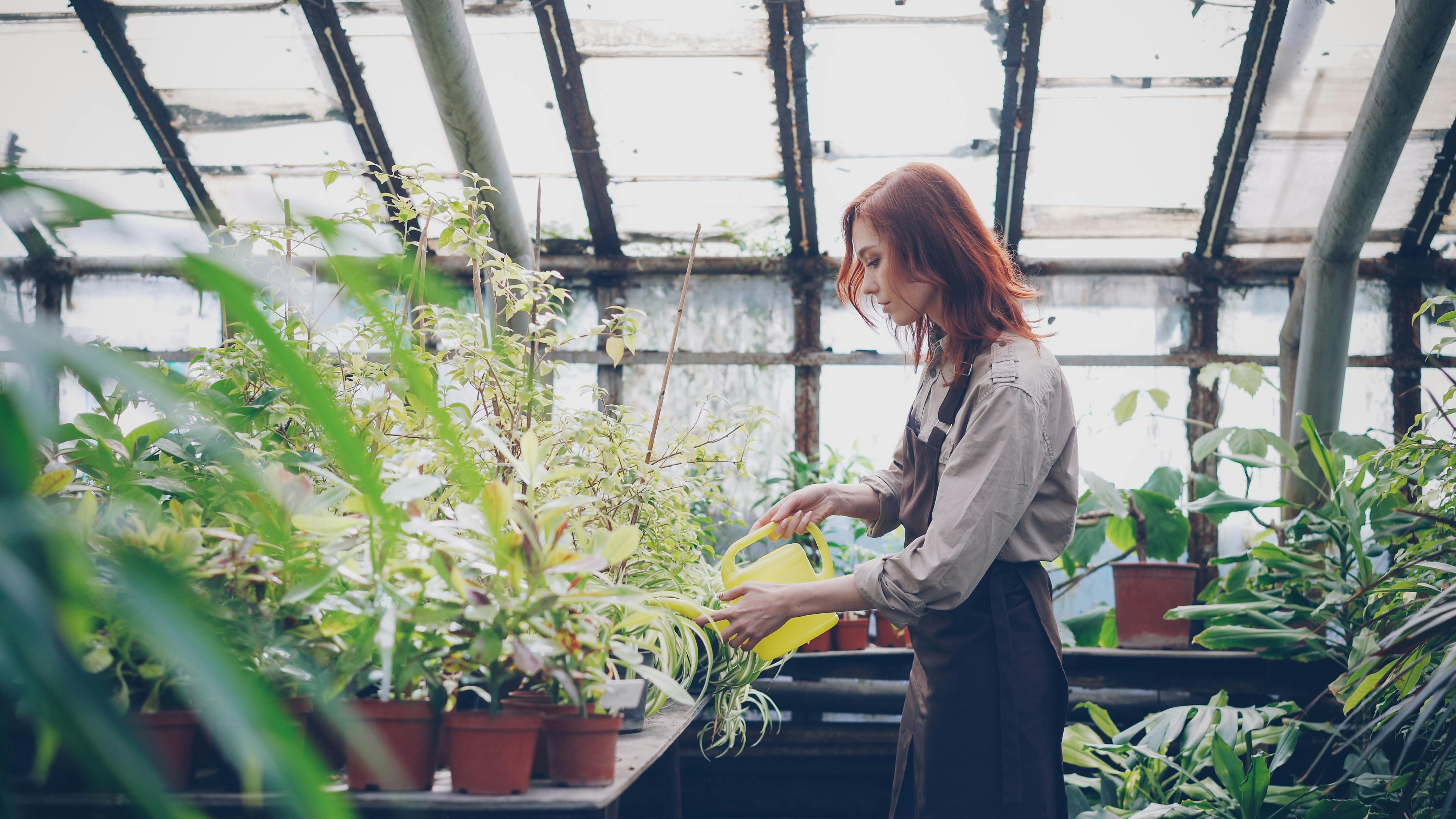 How financial independence can grow the care economy — Photo by Vitaly Gariev on Pexels