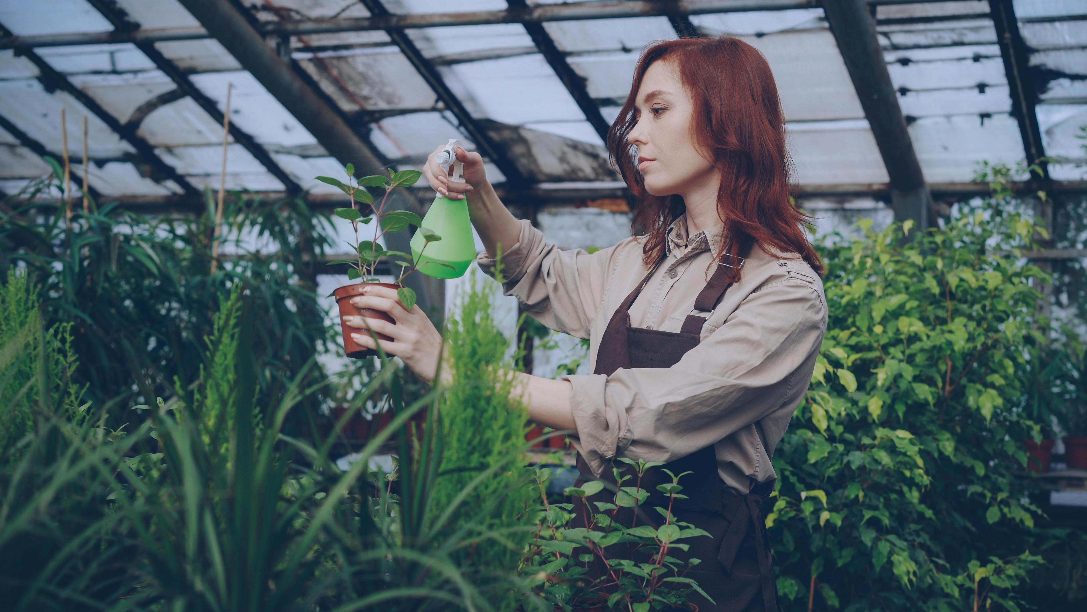 8 DeWalt Gardening Tools You Probably Didn't Realize Existed — Photo by Vitaly Gariev on Pexels