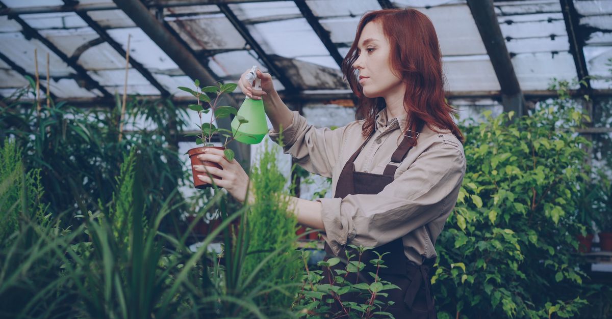 Why Most Beginner Gardeners Give Up (And What Actually Works for a Thriving Garden)
