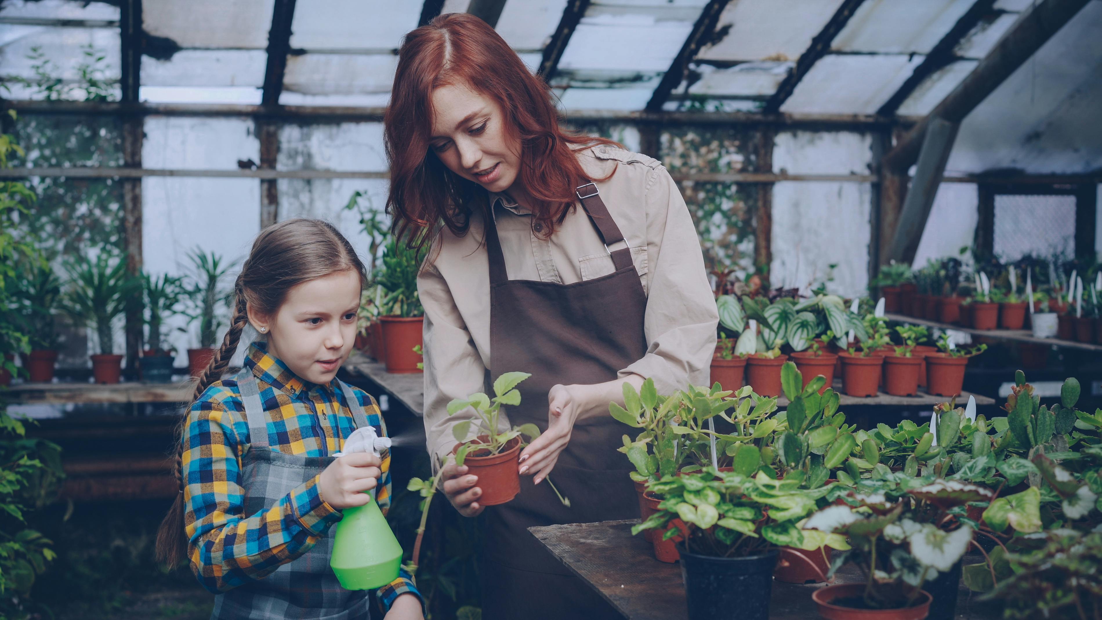 5 gardening tips you can try right in Search — Photo by Vitaly Gariev on Pexels