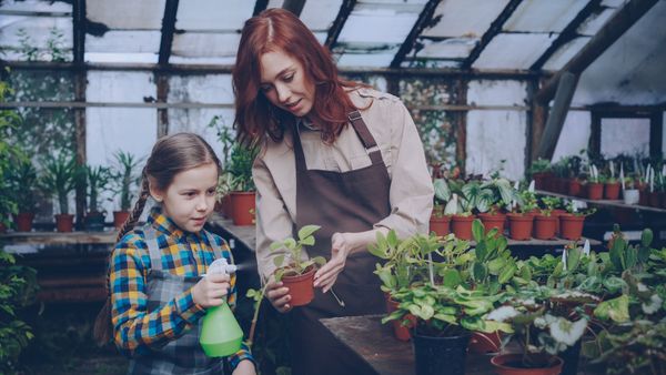 Family harvesting food together
