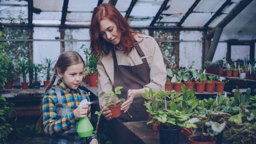 Free A woman teaches a young girl to care for plants in a greenhouse setting. Stock Photo