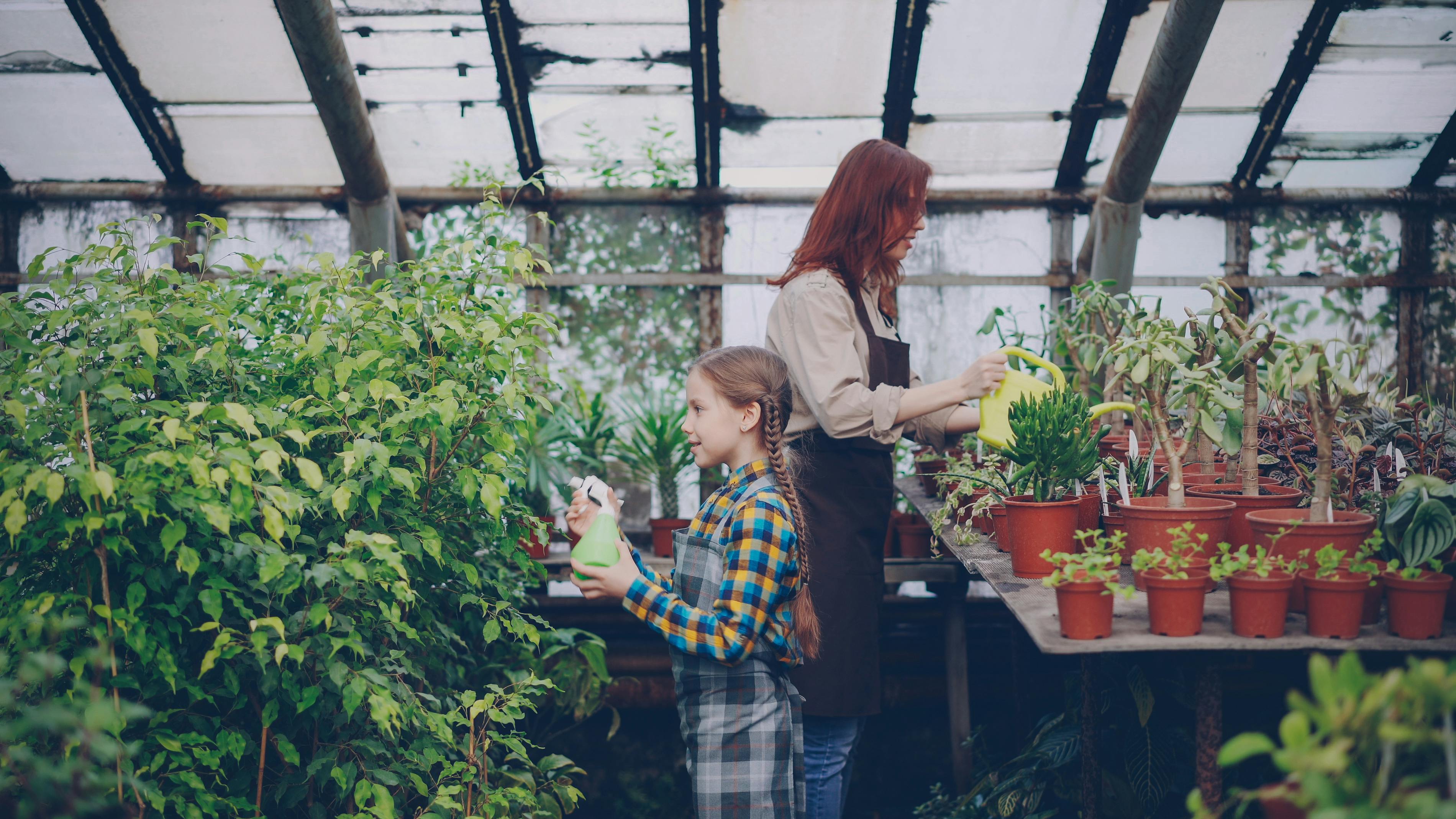 gardening leave meaning — Photo by Vitaly Gariev on Pexels