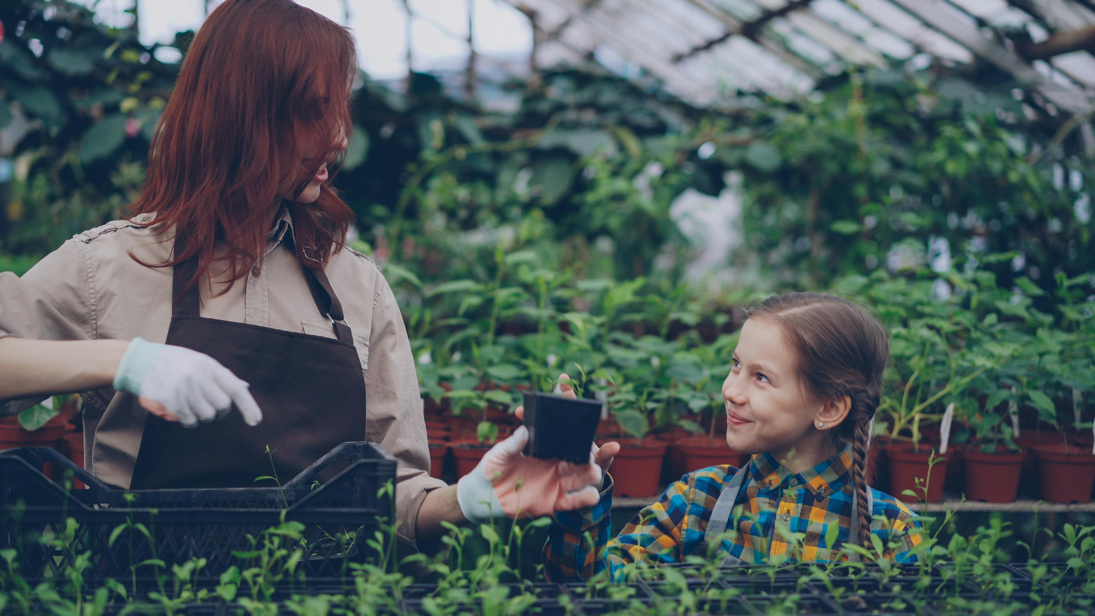 5 gardening tips you can try right in Search — Photo by Vitaly Gariev on Pexels