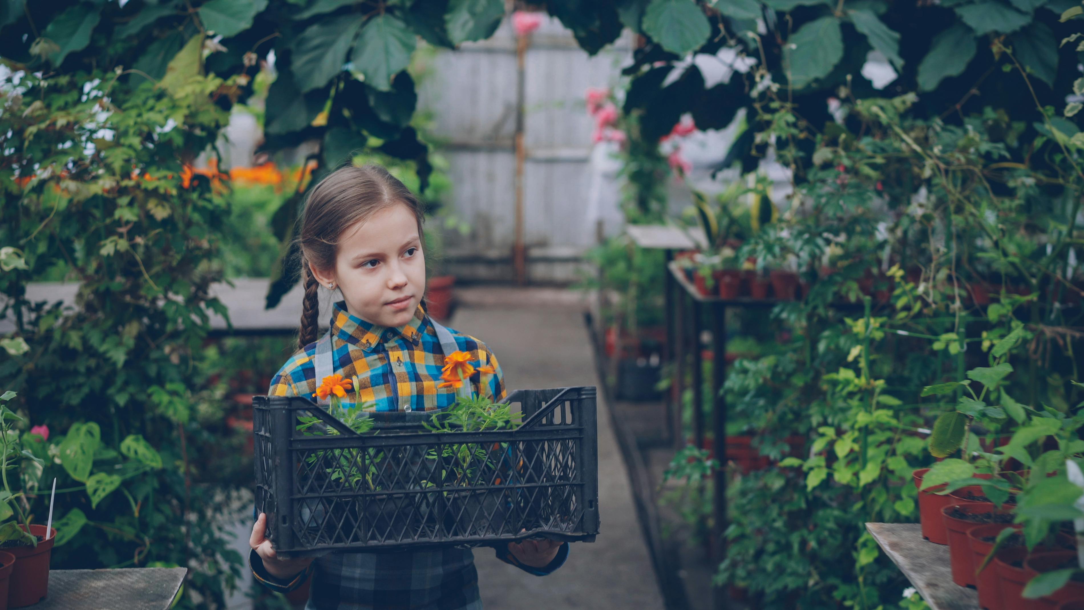 Life Science, Space Gardening Top Thursday’s Research Schedule — Photo by Vitaly Gariev on Pexels