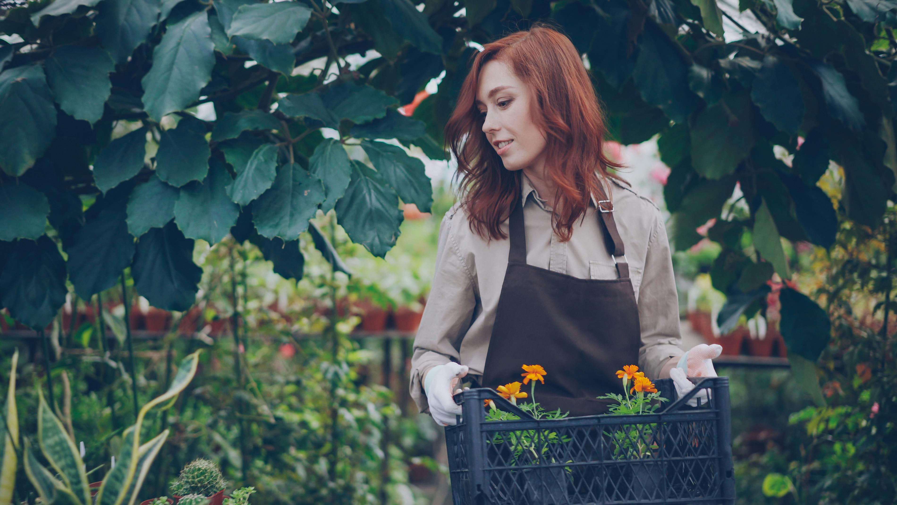 Gardening Doesn’t Have to Be Grueling—15 Clever Gardening Tools Under $30 That Save the Back-Straining Energy — Photo by Vita