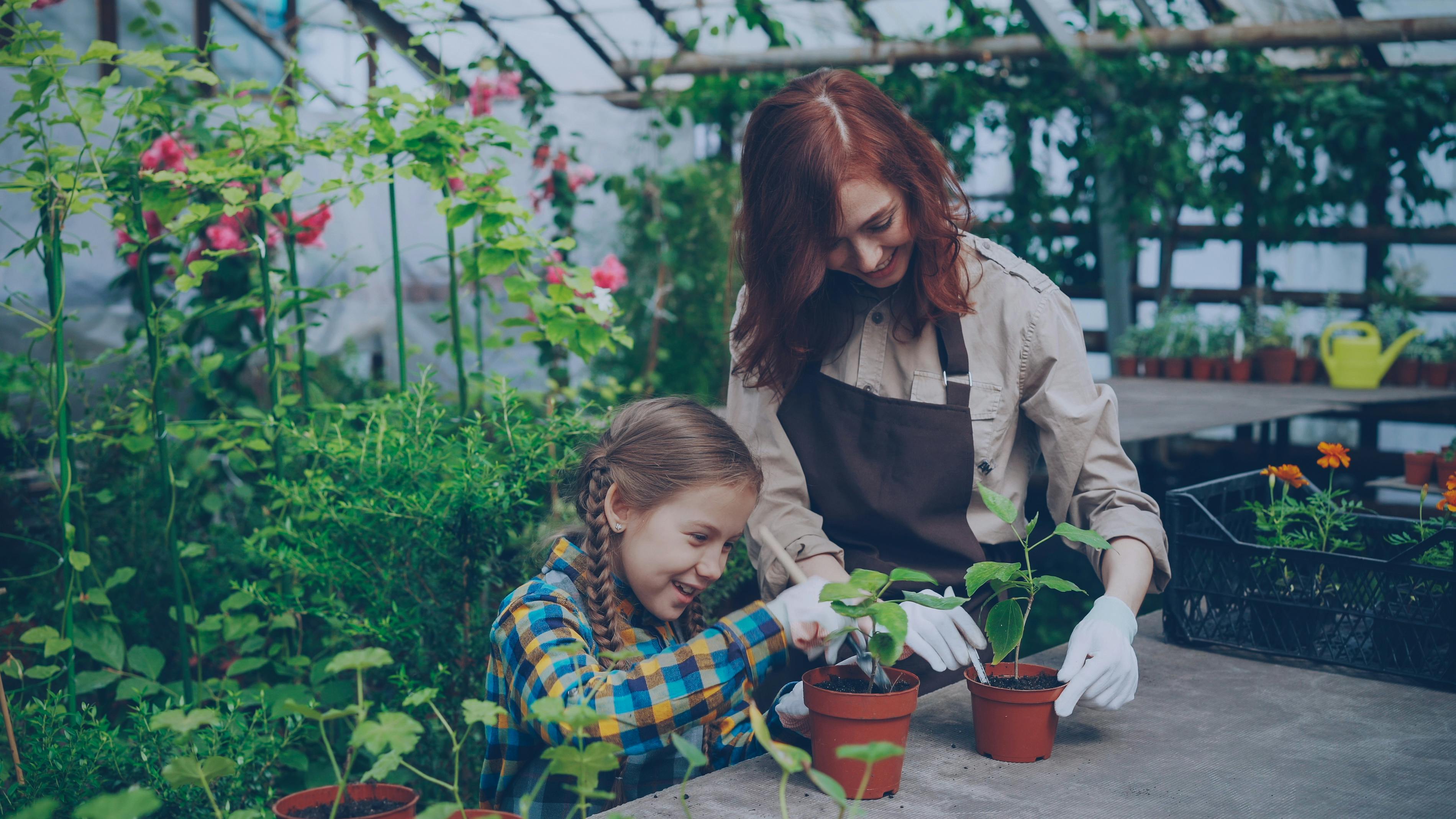 5 gardening tips you can try right in Search — Photo by Vitaly Gariev on Pexels
