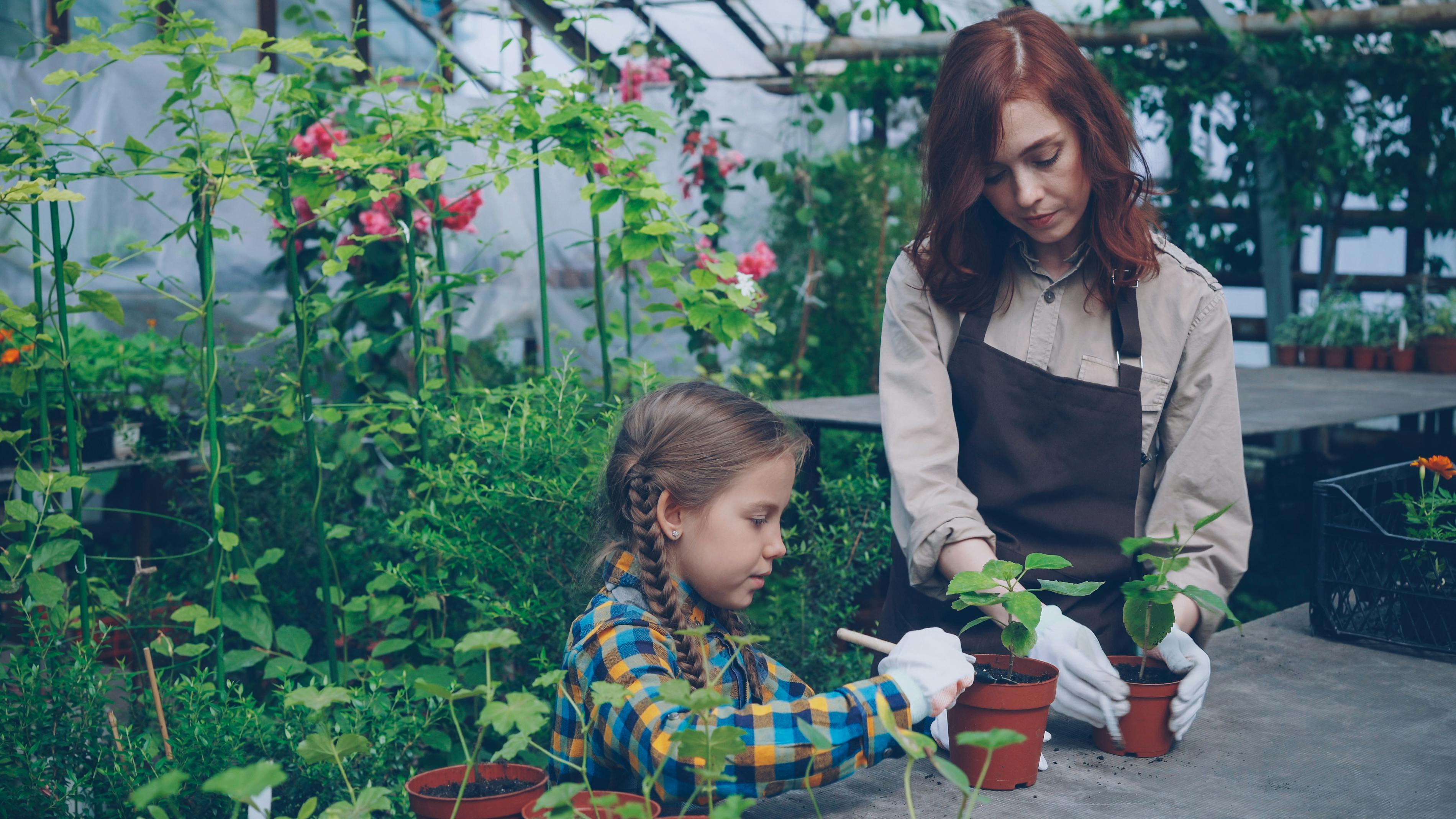gardening meaning — Photo by Vitaly Gariev on Pexels