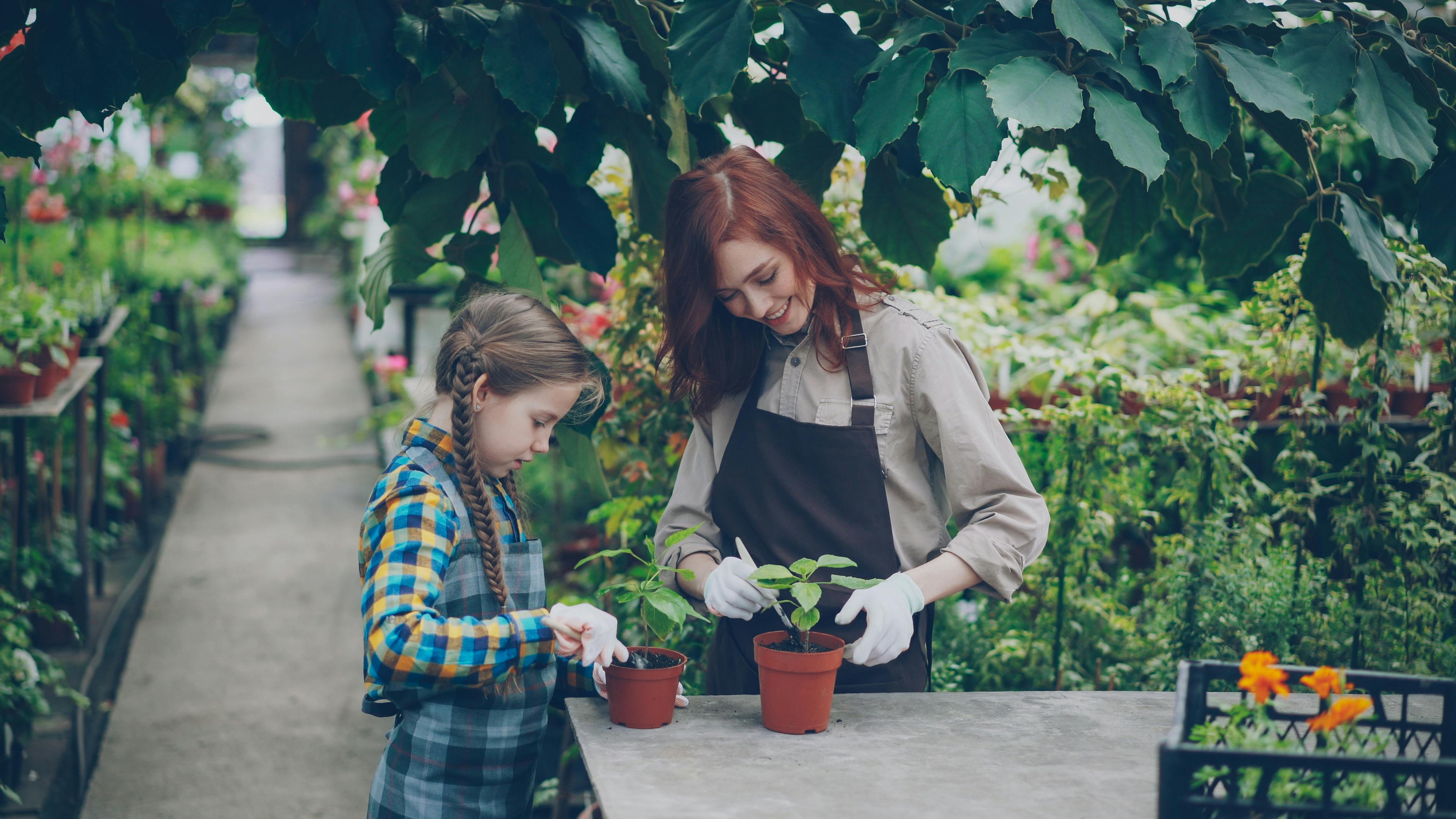27 Best Gardening Tools for All Plant Parents, From Beginners to Experts — Photo by Vitaly Gariev on Pexels