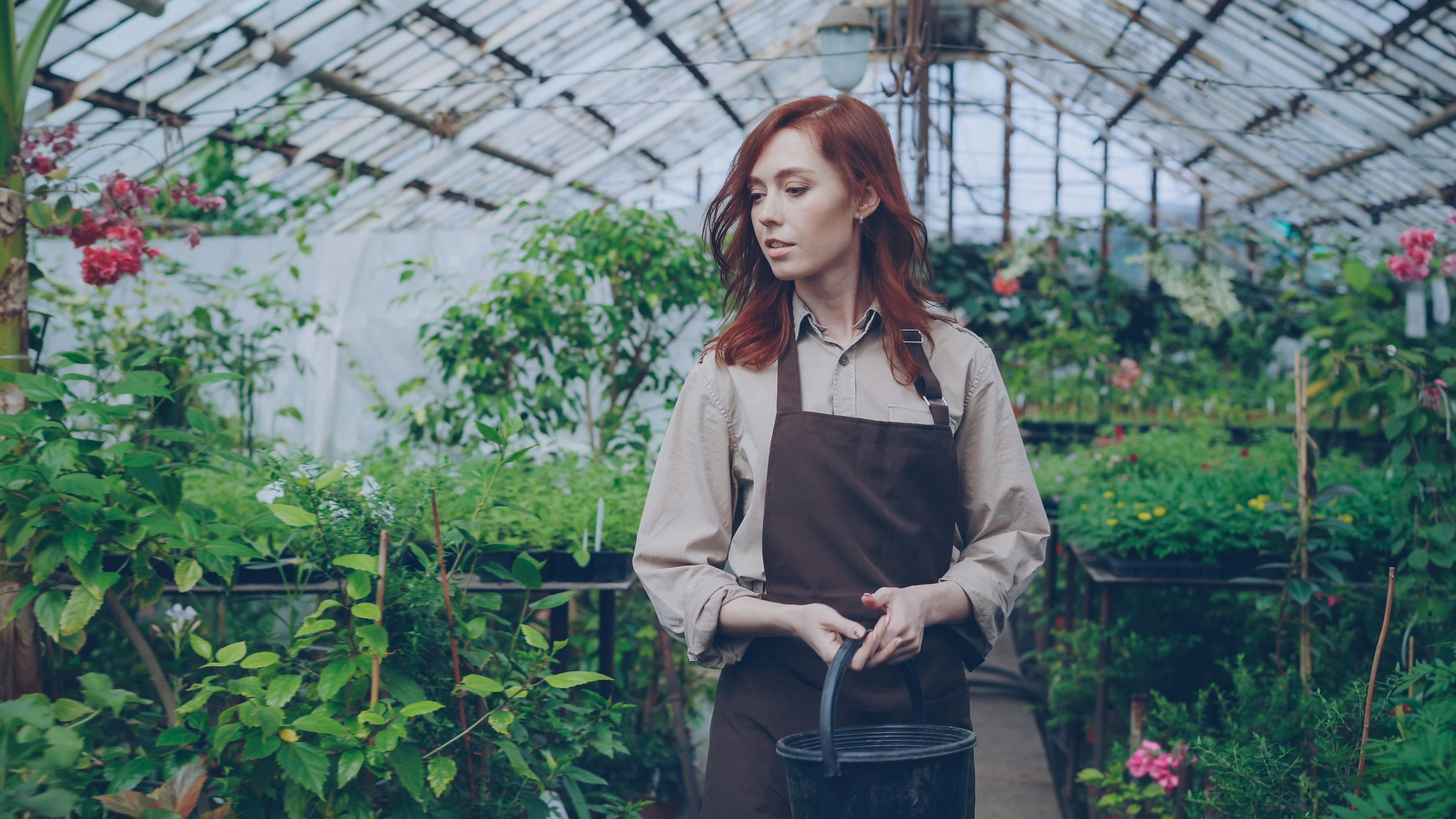 The Gardening Tools That Horticulturalists Swear By — Photo by Vitaly Gariev on Pexels