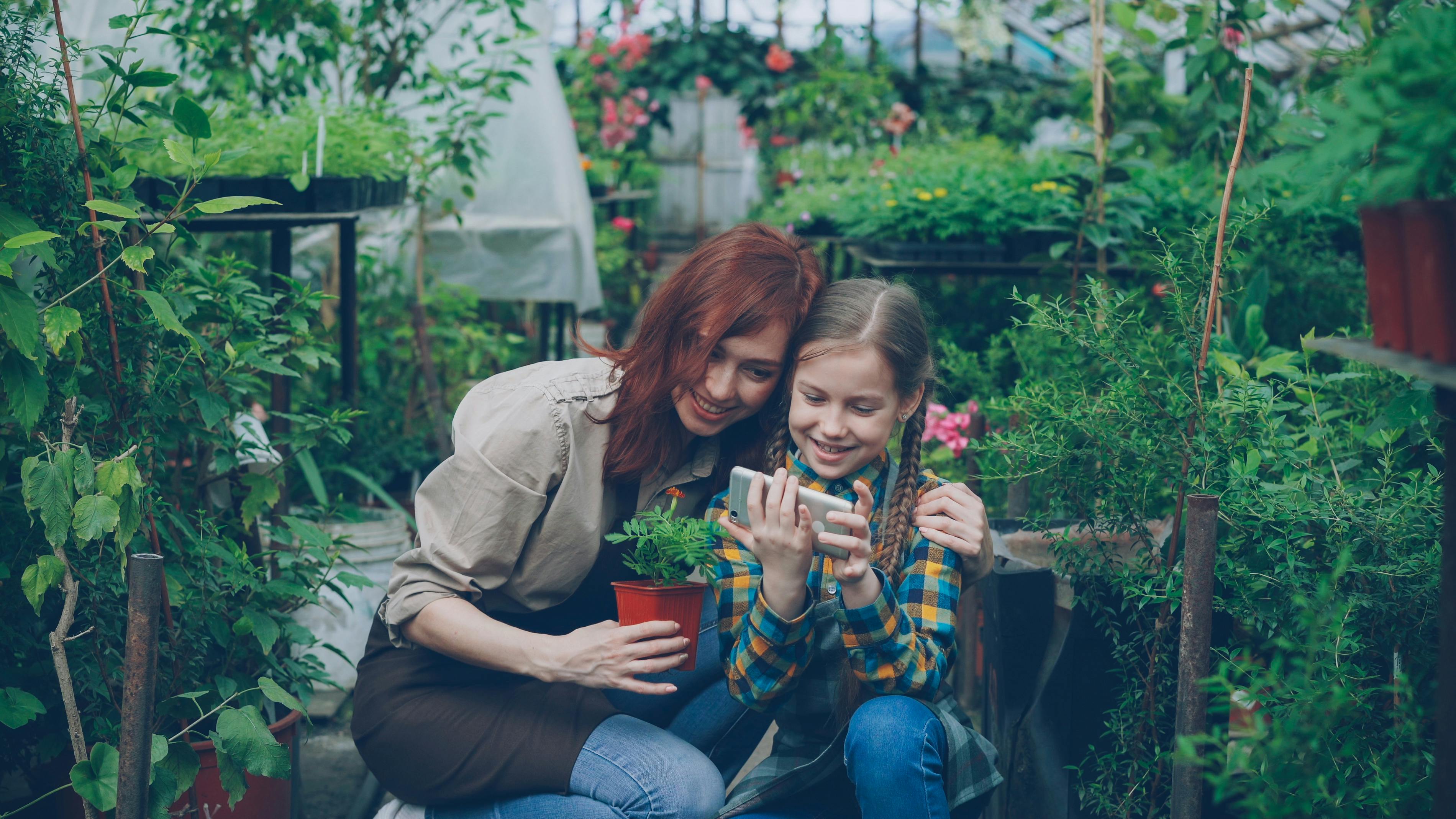 5 gardening tips to try in Google Search to make your plants thrive in UK — Photo by Vitaly Gariev on Pexels