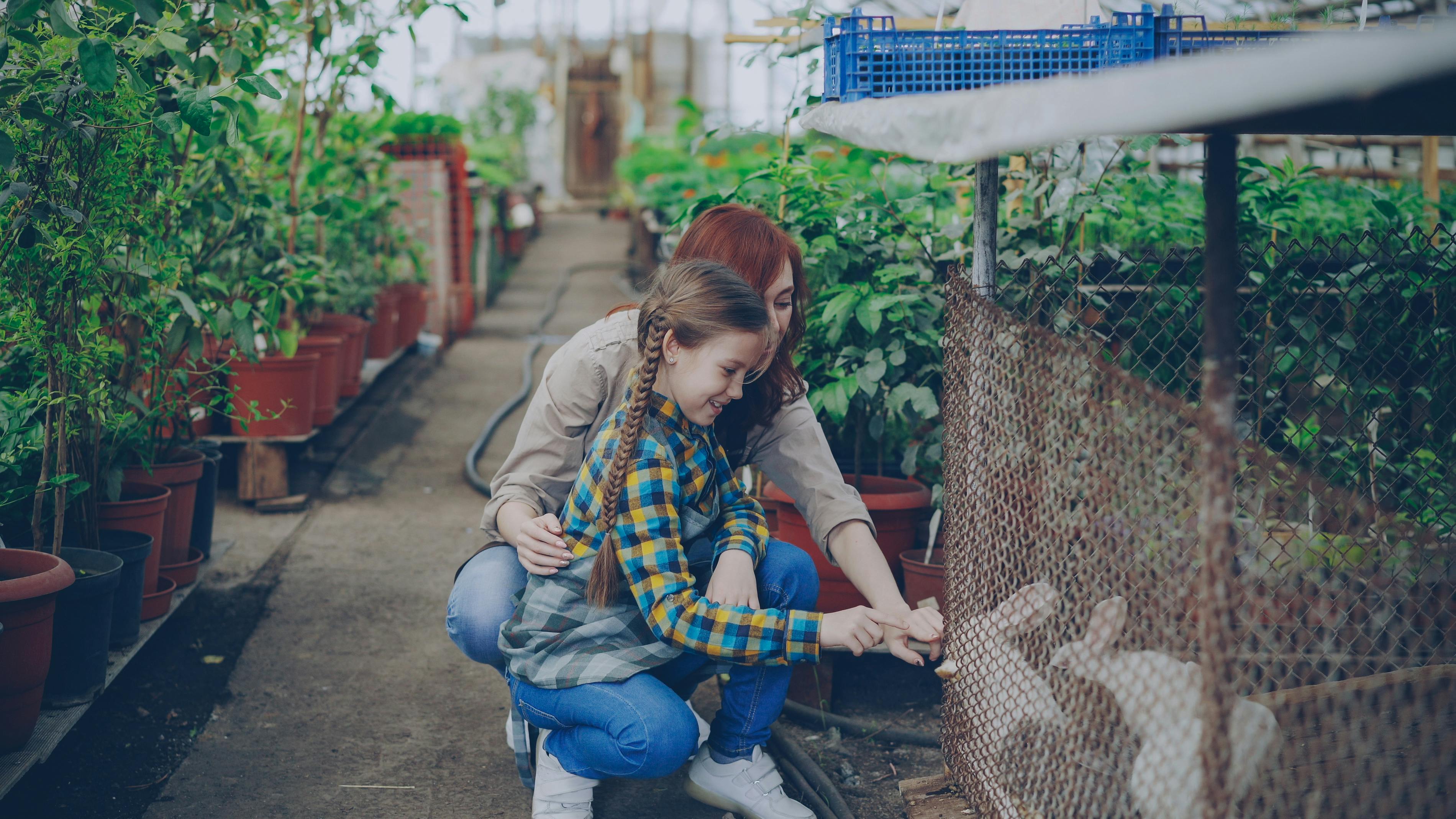 27 Best Gardening Tools for All Plant Parents, From Beginners to Experts — Photo by Vitaly Gariev on Pexels