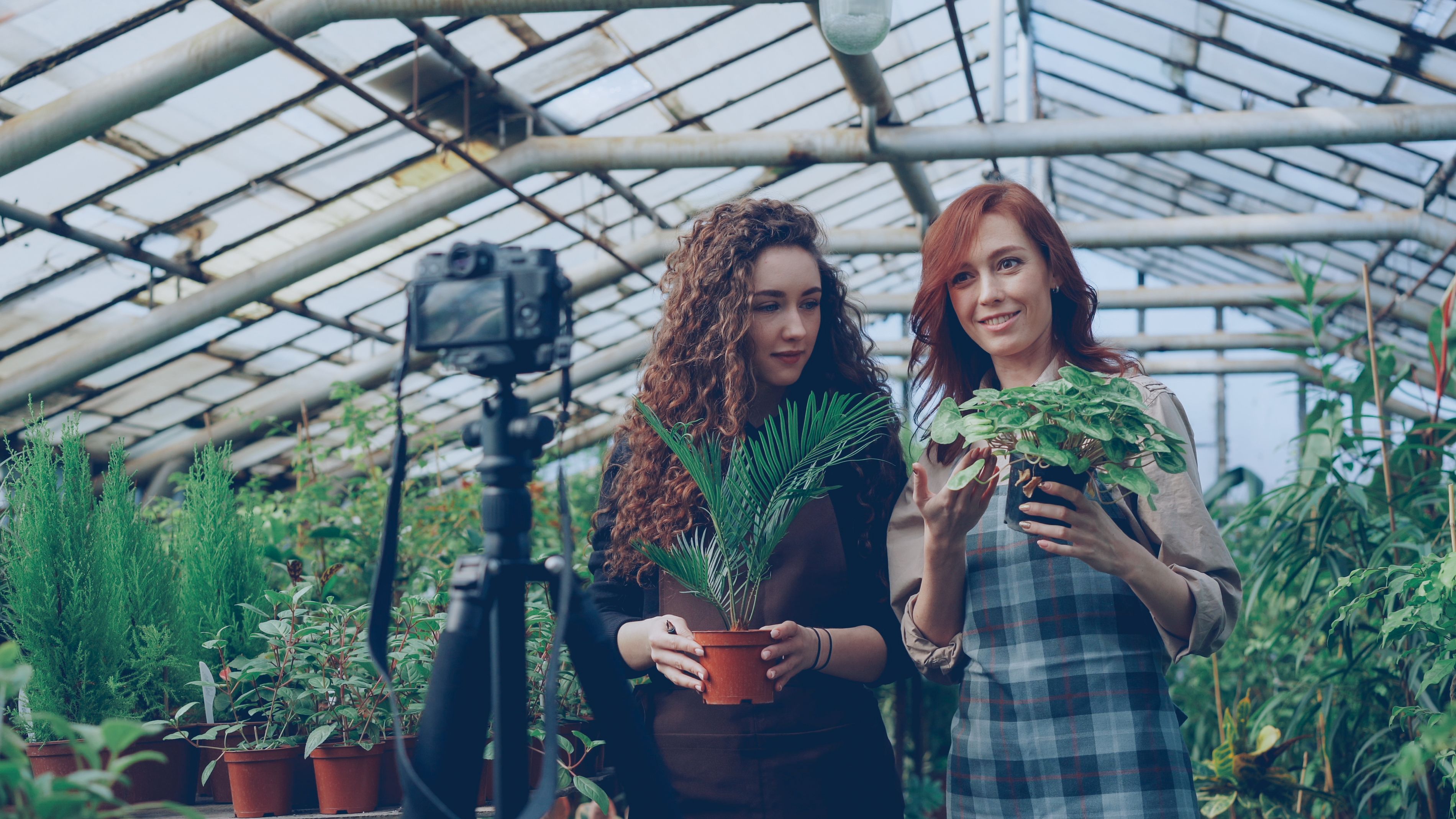 Two women filming a plant tutorial in a greenhouse, focused on greenery and horticulture.