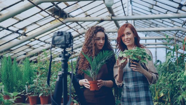 Two women filming a plant tutorial in a greenhouse, focused on greenery and horticulture.