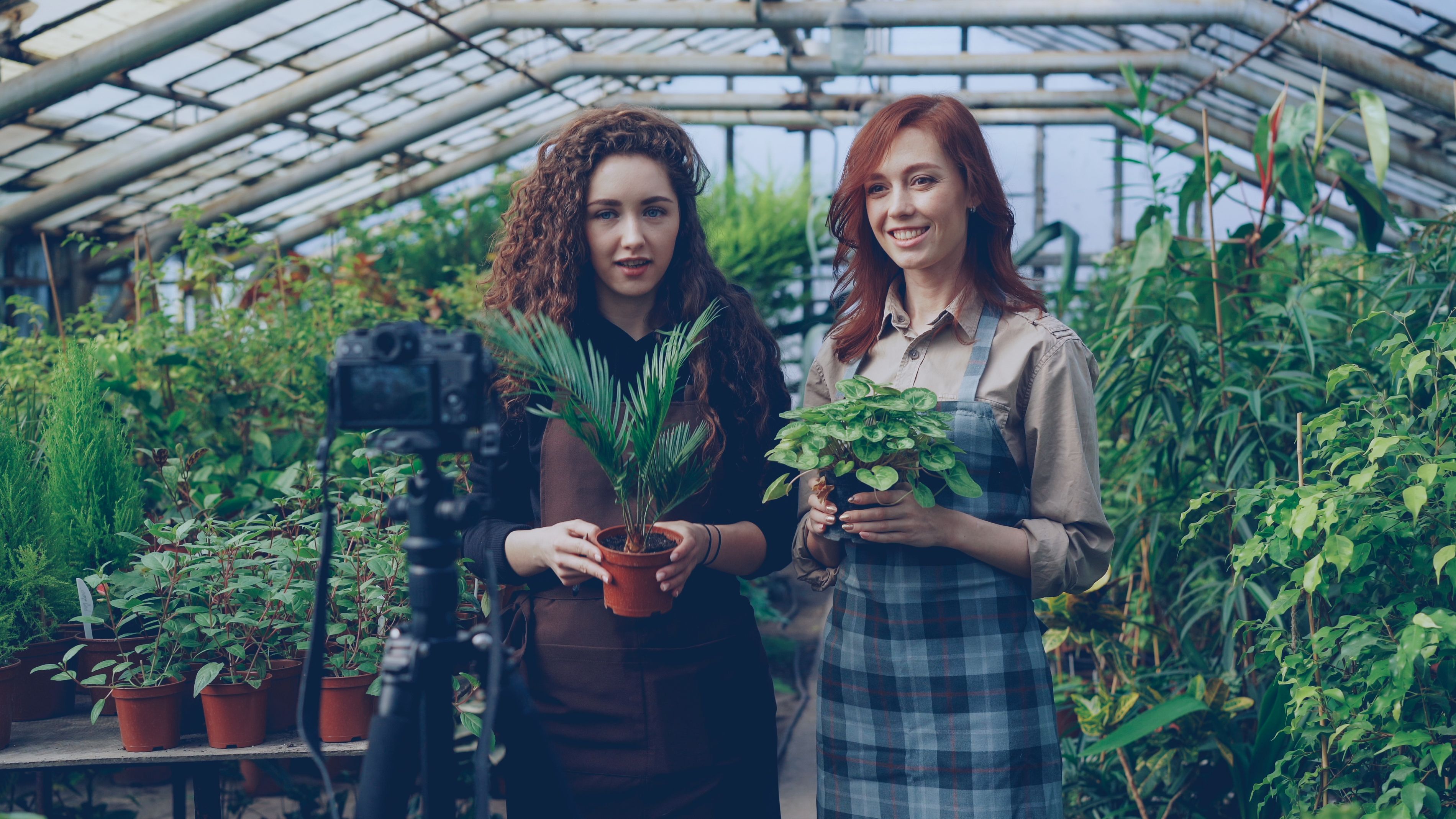 Two women in a greenhouse filming a video tutorial on plant care. Vibrant greenery surrounds them.