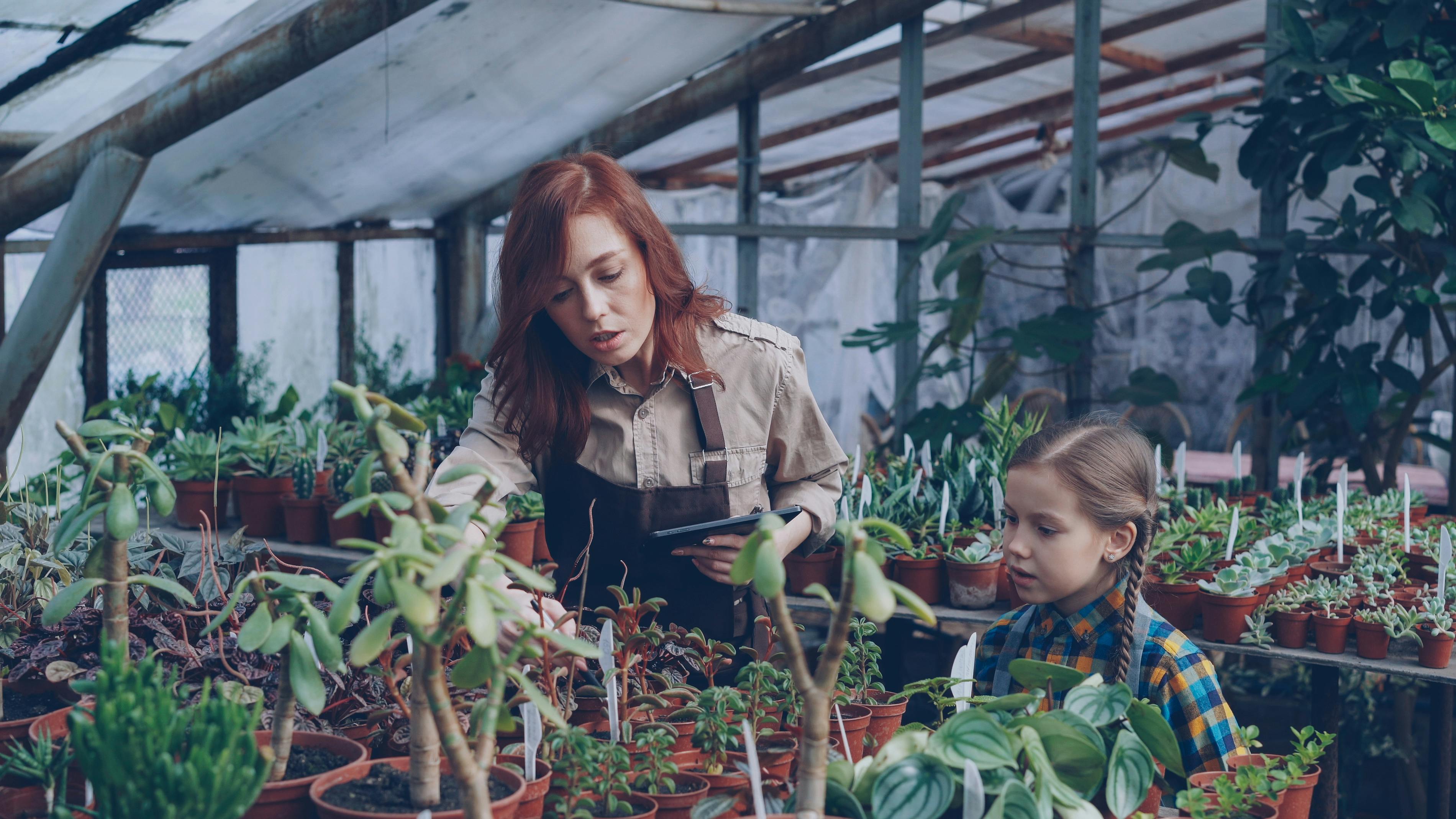 Gardening: Spring plant sale offers native, Texas-tough plants — Photo by Vitaly Gariev on Pexels