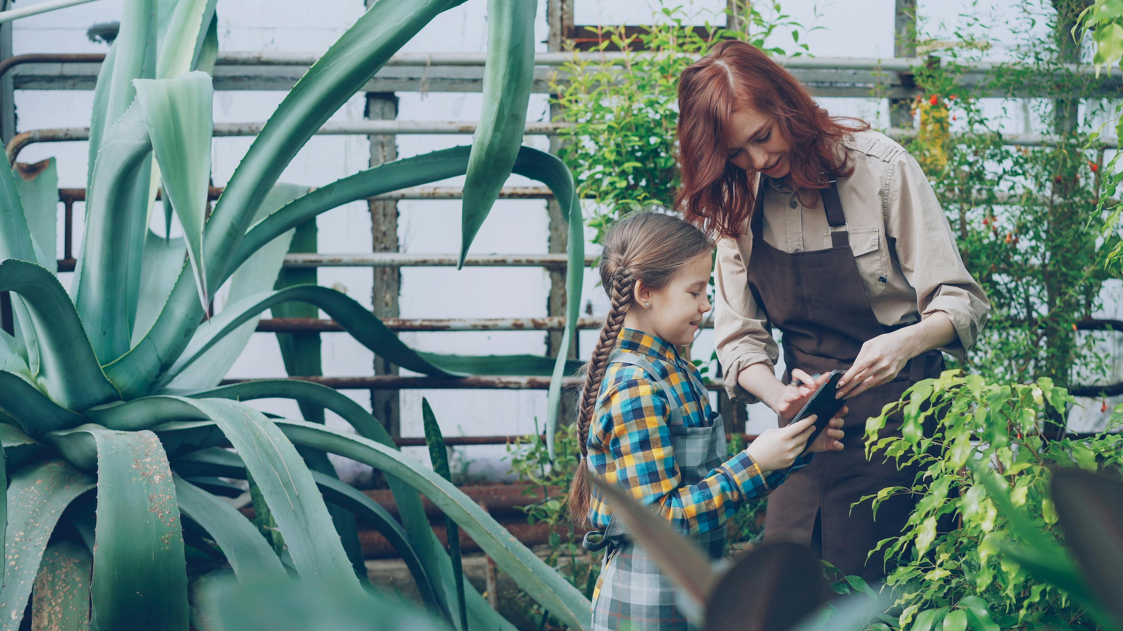 5 gardening tips to try in Google Search to make your plants thrive in UK — Photo by Vitaly Gariev on Pexels