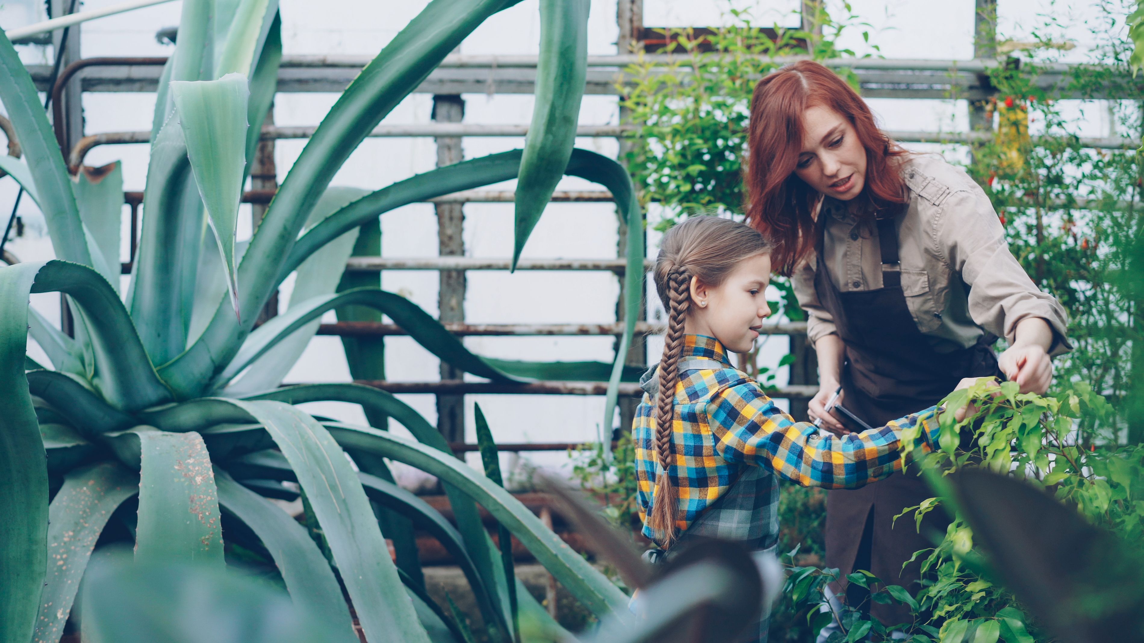 The Gardening Tools That Horticulturalists at America’s Biggest Botanical Centers Swear By — Photo by Vitaly Gariev on Pexels