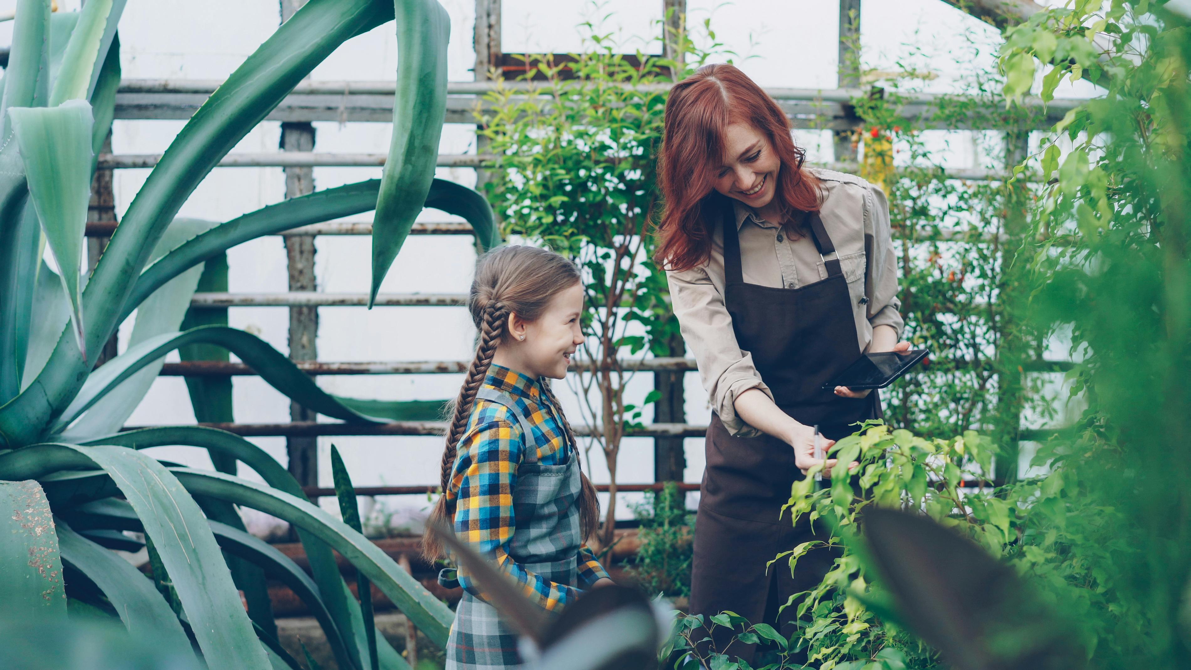 27 Best Gardening Tools for All Plant Parents, From Beginners to Experts — Photo by Vitaly Gariev on Pexels