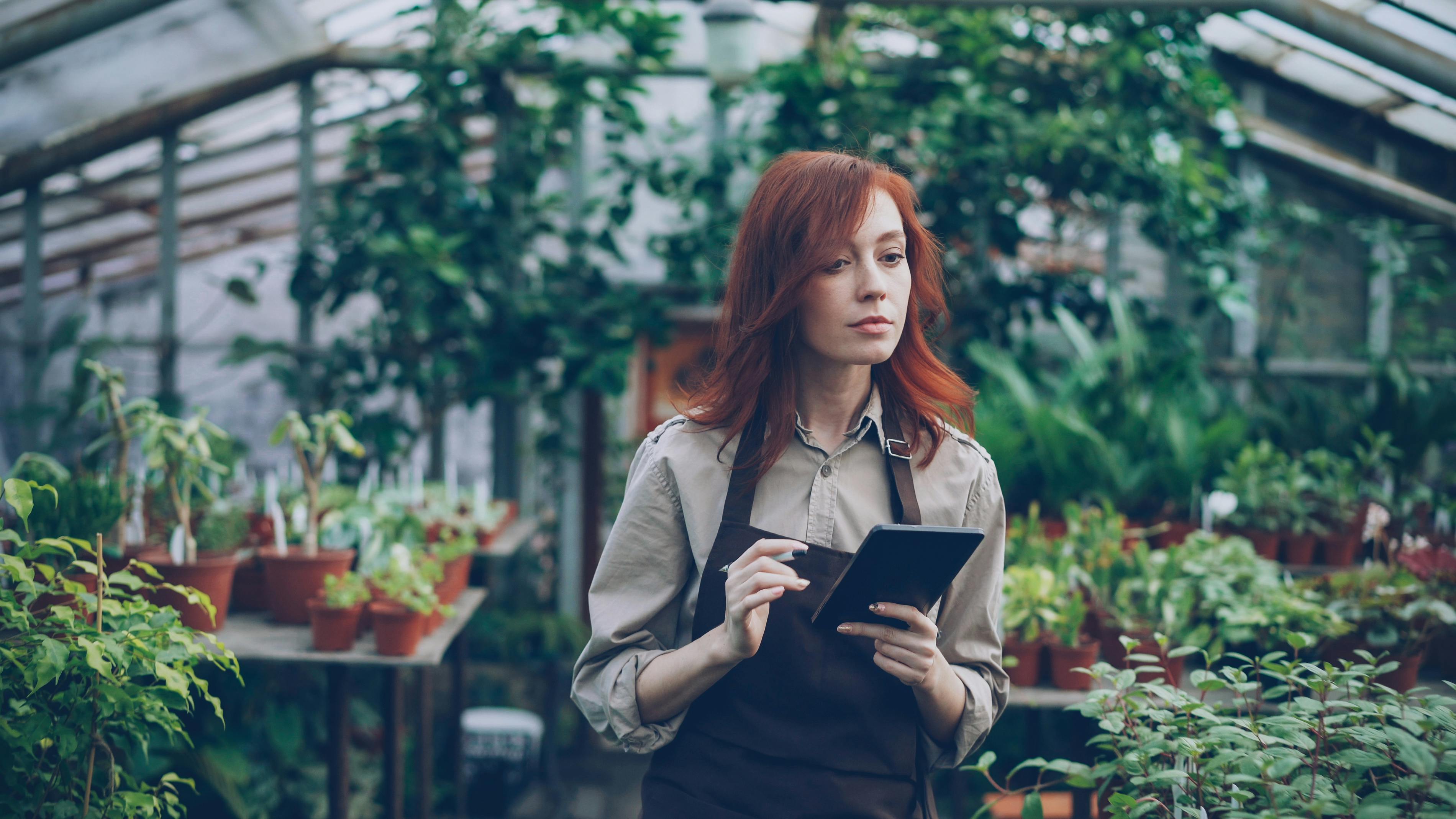 A Inovação Tecnológica como Eixo Estruturante do Agronegócio Digital