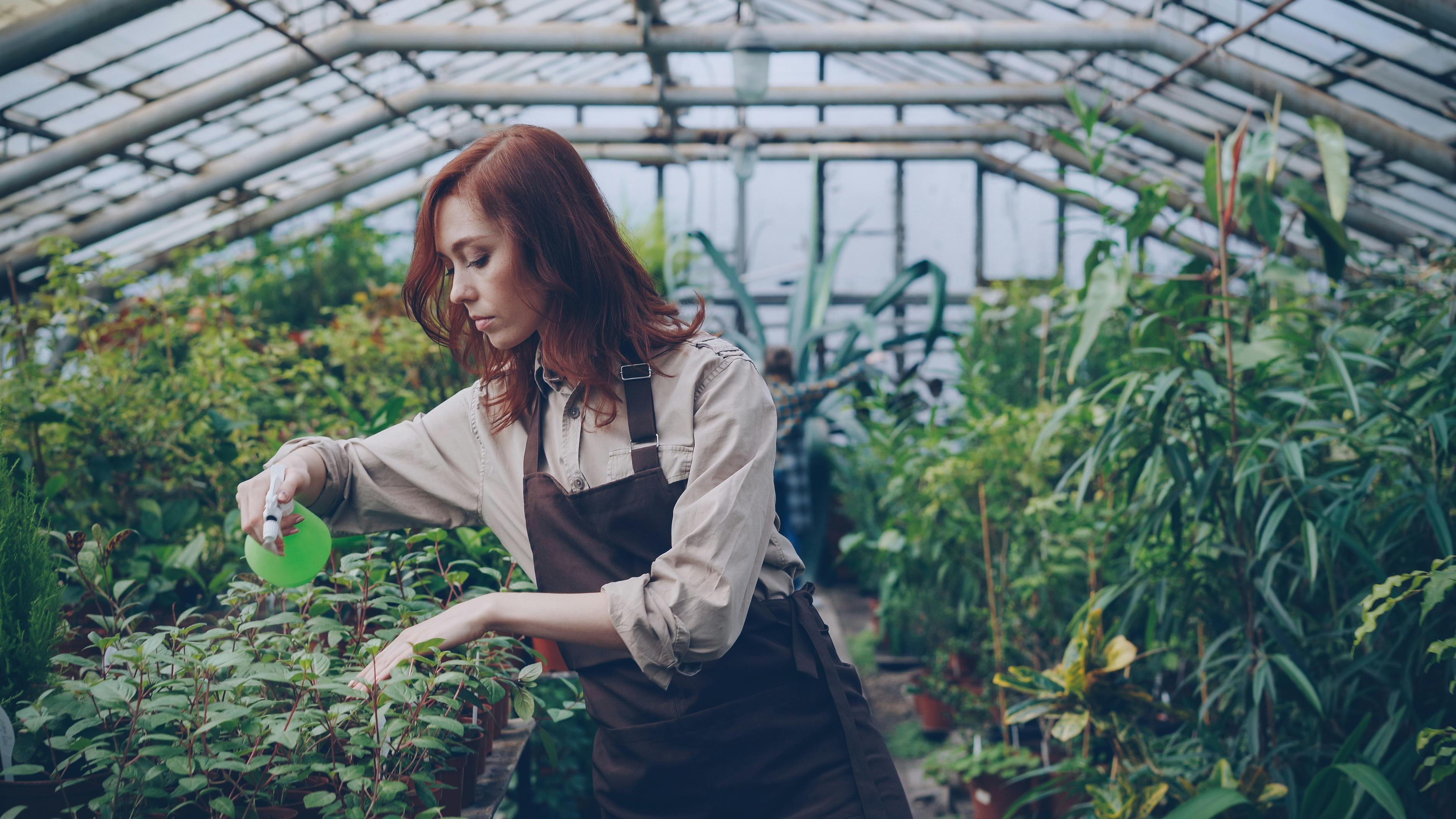 The Gardening Tools That Horticulturalists at America’s Biggest Botanical Centers Swear By — Photo by Vitaly Gariev on Pexels
