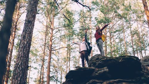 Free Two hikers rejoice atop a rock in a sunlit forest. Adventure and freedom. Stock Photo