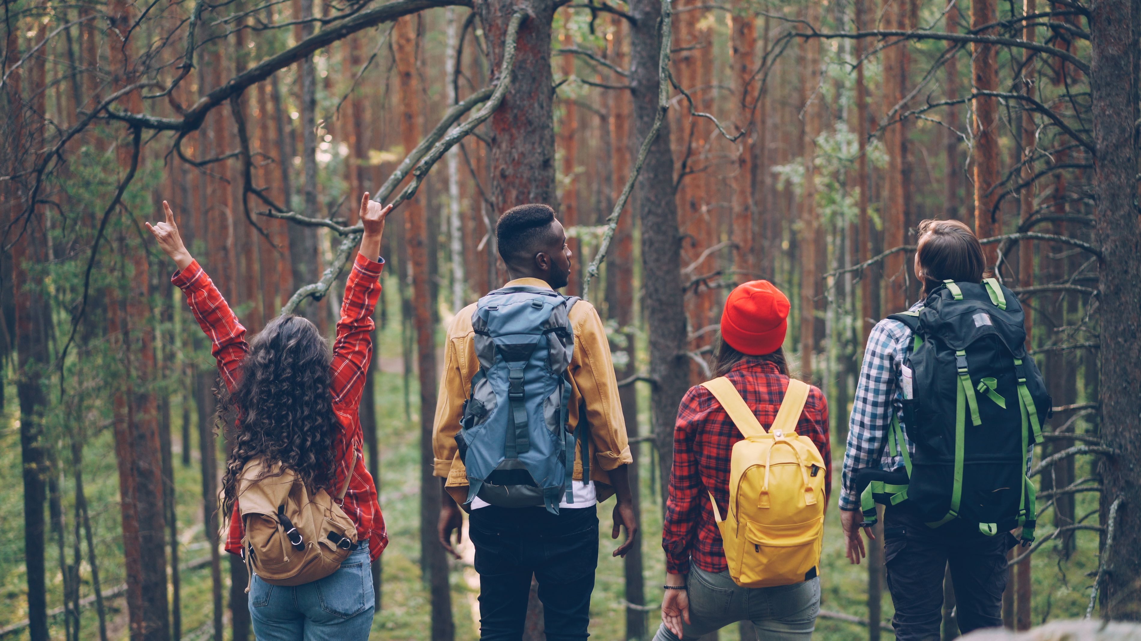 Group Of People In Nature Photos, Download The BEST Free Group Of ...