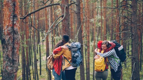 Free Friends embracing during a hike in the forest, showcasing unity and nature exploration. Stock Photo