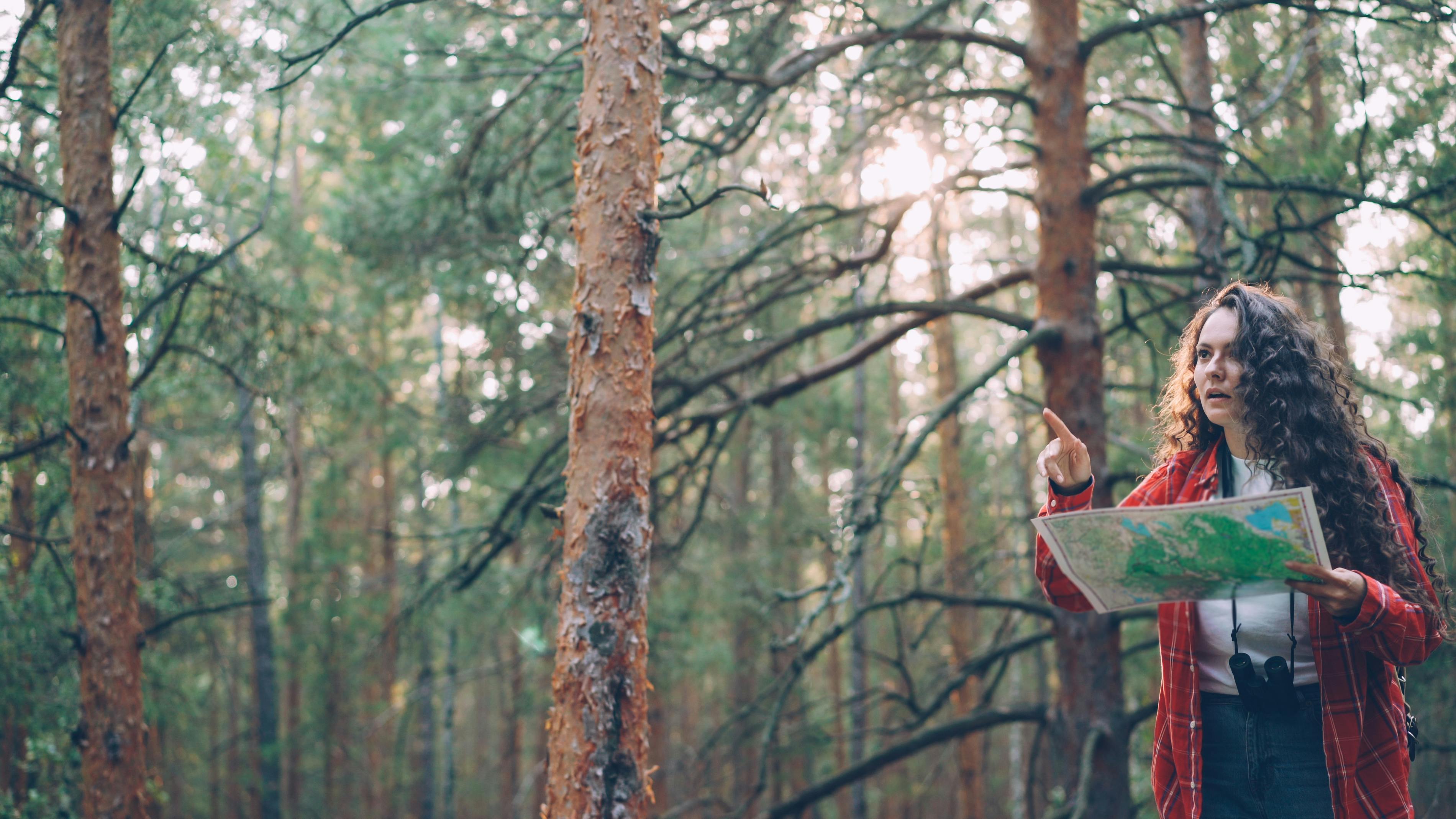 The Ultimate Beginner’s Guide to Points and Miles [Express Version] - Upgraded Points — Photo by Vitaly Gariev on Pexels