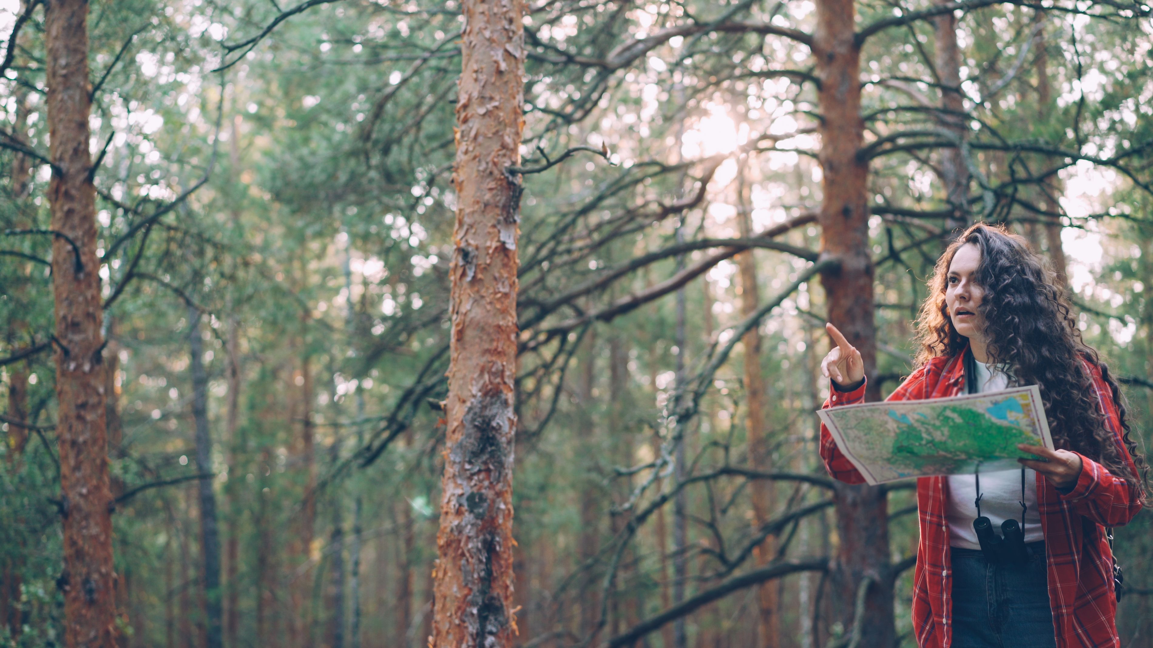 Mujer Recorriendo El Bosque Con Un Mapa En La Mano · Foto de stock gratuita