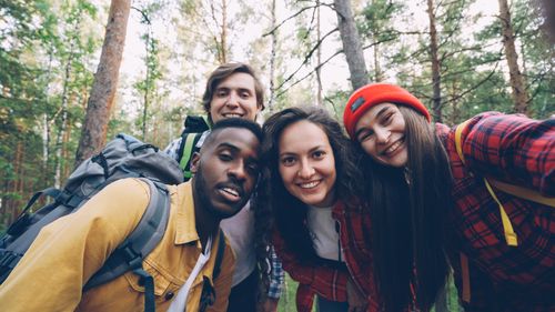 Free A group of friends hiking in a sunny forest, sharing joyful moments together. Stock Photo