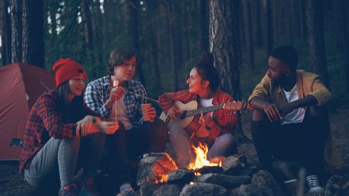 Free A group of friends sits around a campfire in a forest, playing guitar and toasting marshmallows. Stock Photo