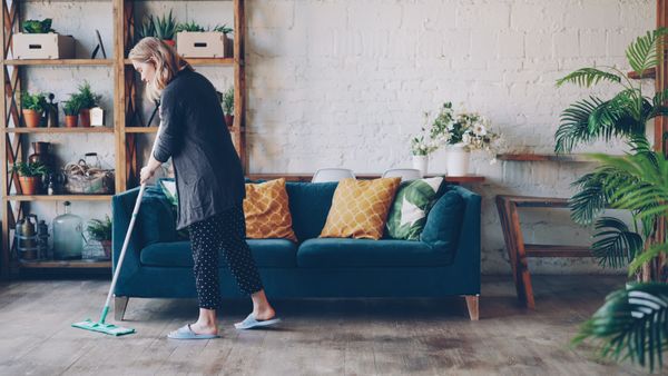 Regular Cleaning Services in Erith