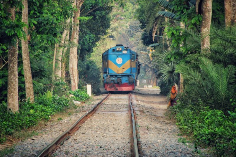 A blue train chugs along a railway track flanked by dense greenery in a serene outdoor setting.