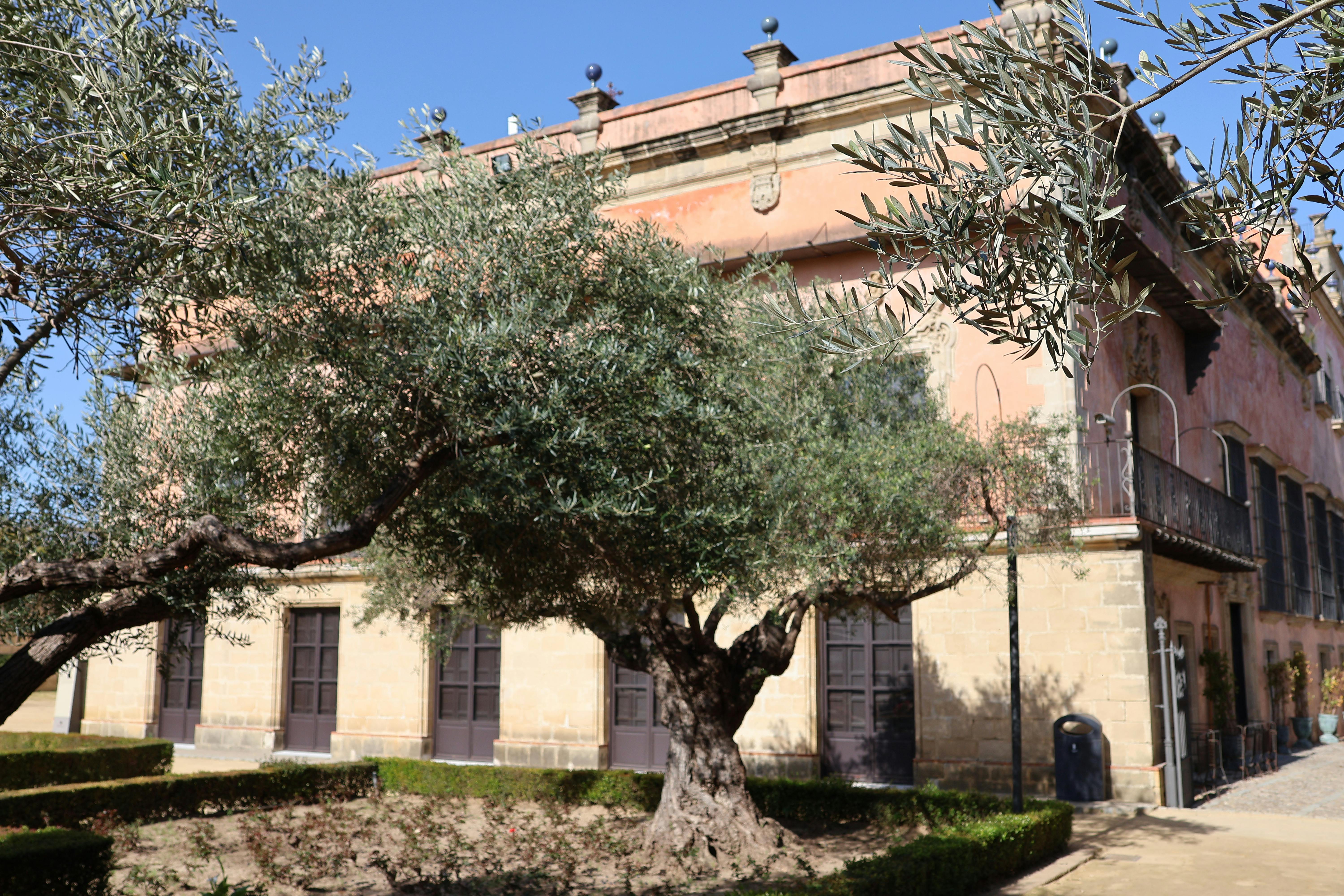 palacio de Villaviciencio