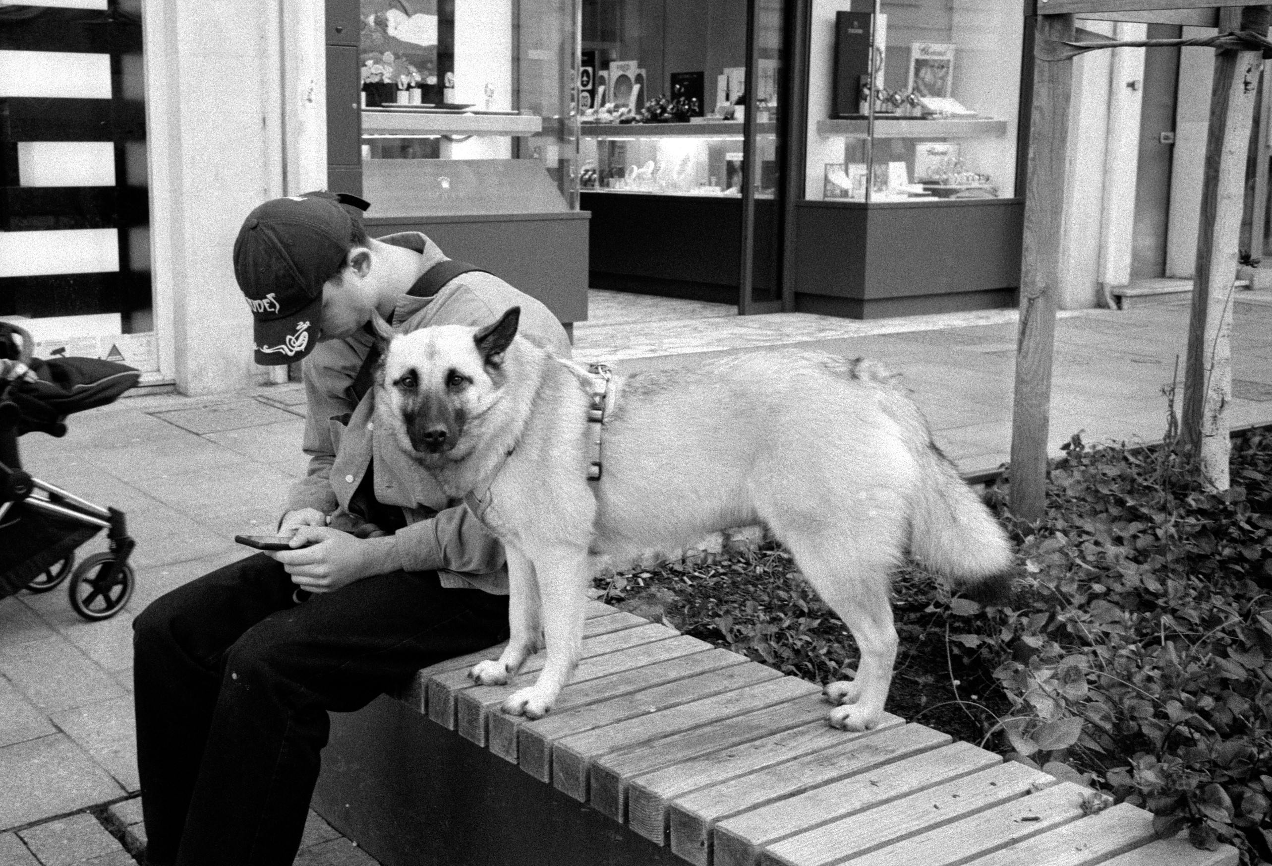 pet technology store — Photo by Alexis B on Pexels