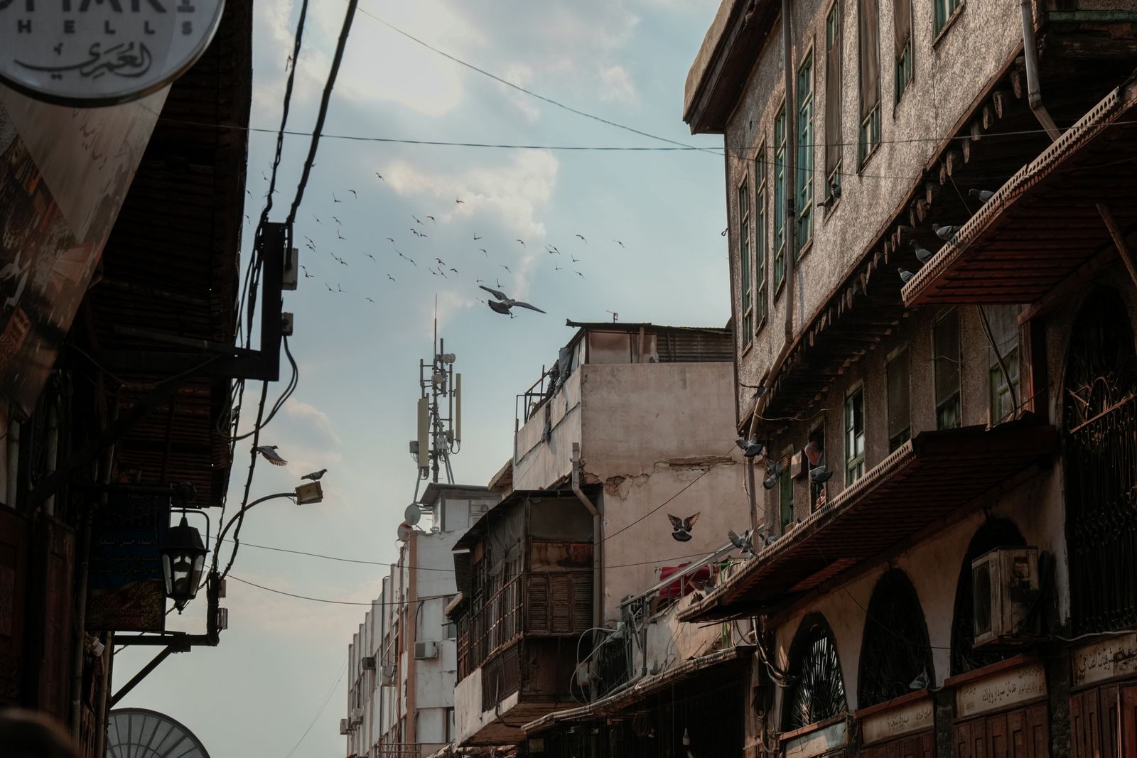 A bustling street in Old Damascus with flocks of pigeons and historic architecture