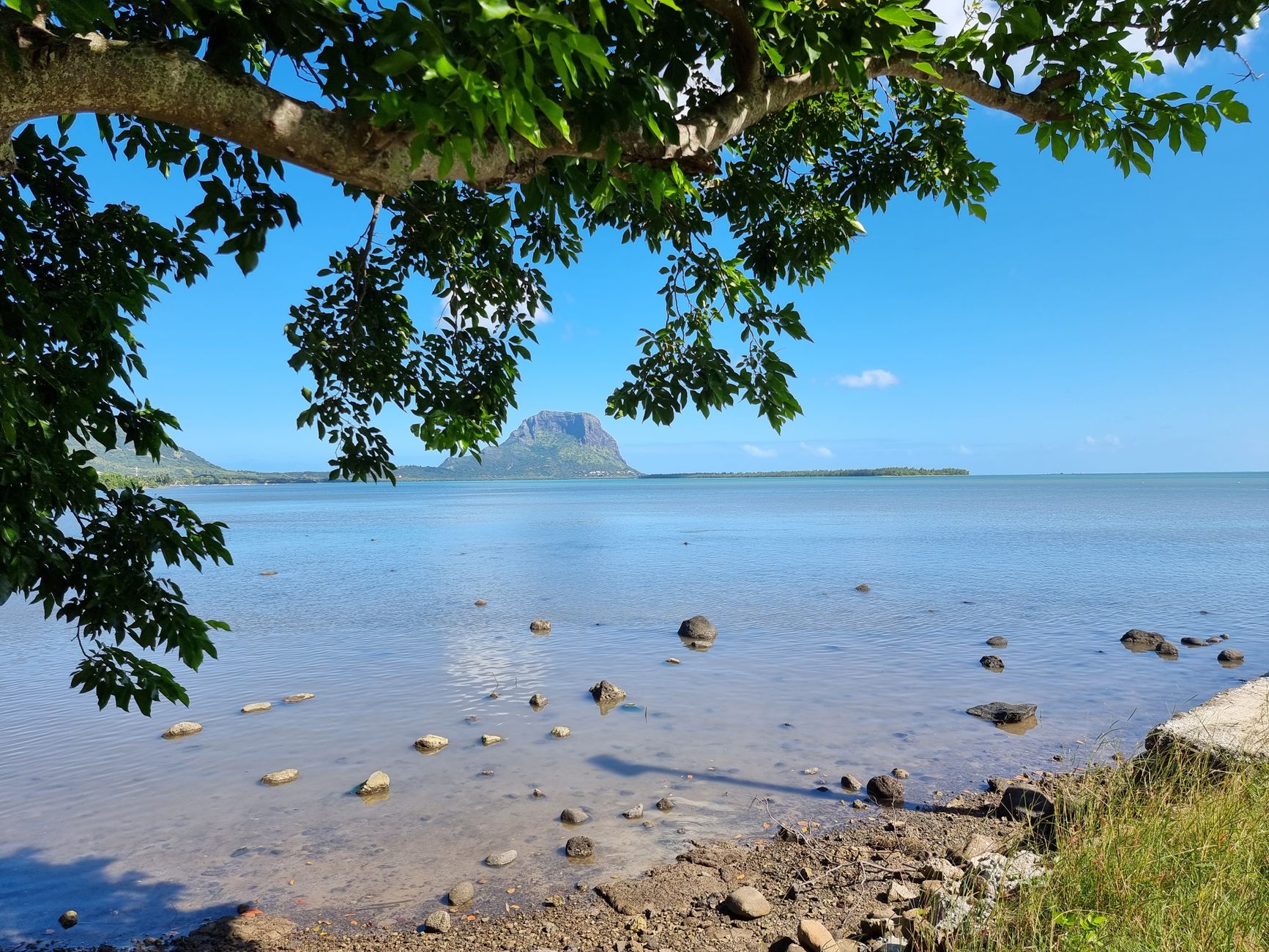 A tranquil coastal scene of Le Morne Brabant, Mauritius with clear blue water and lush green foliage.