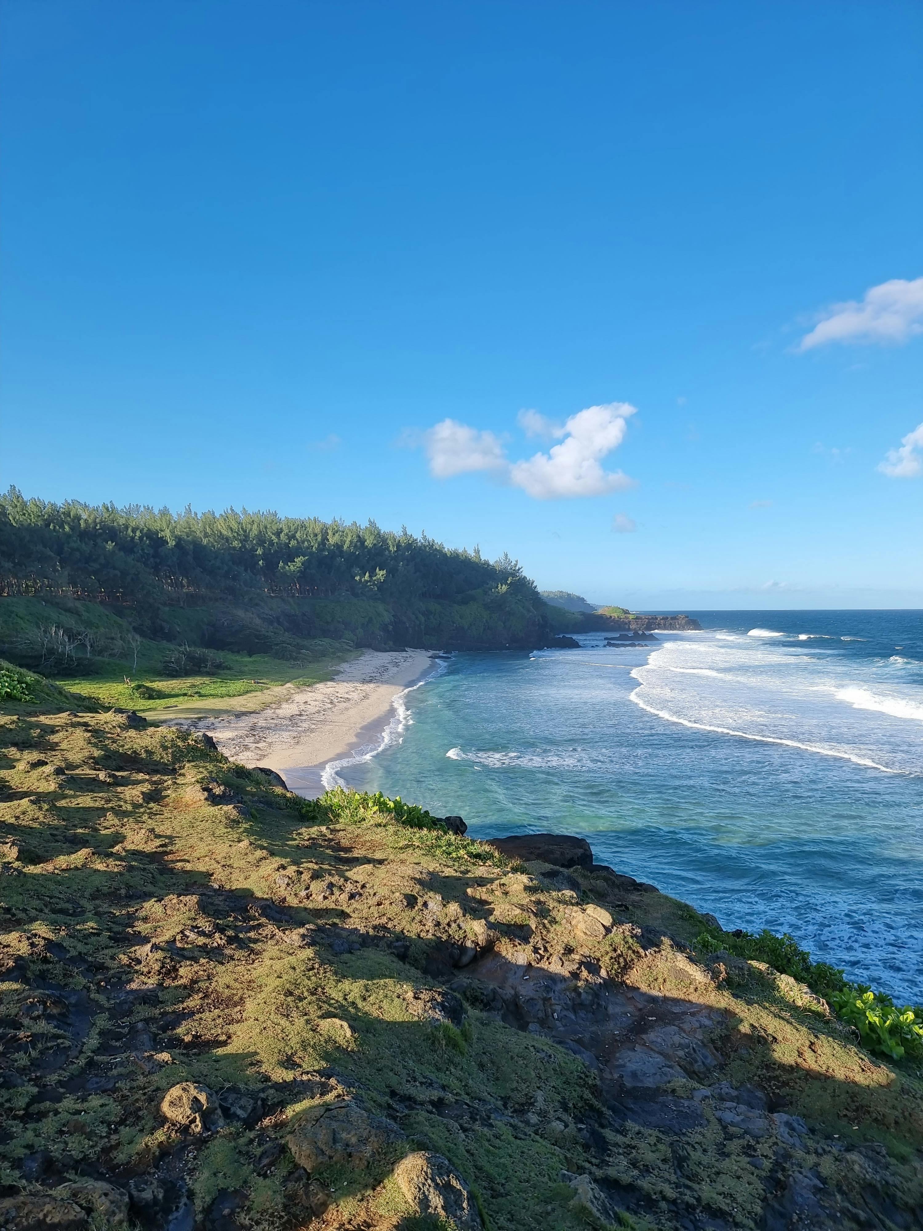 Photo de Phoenix College