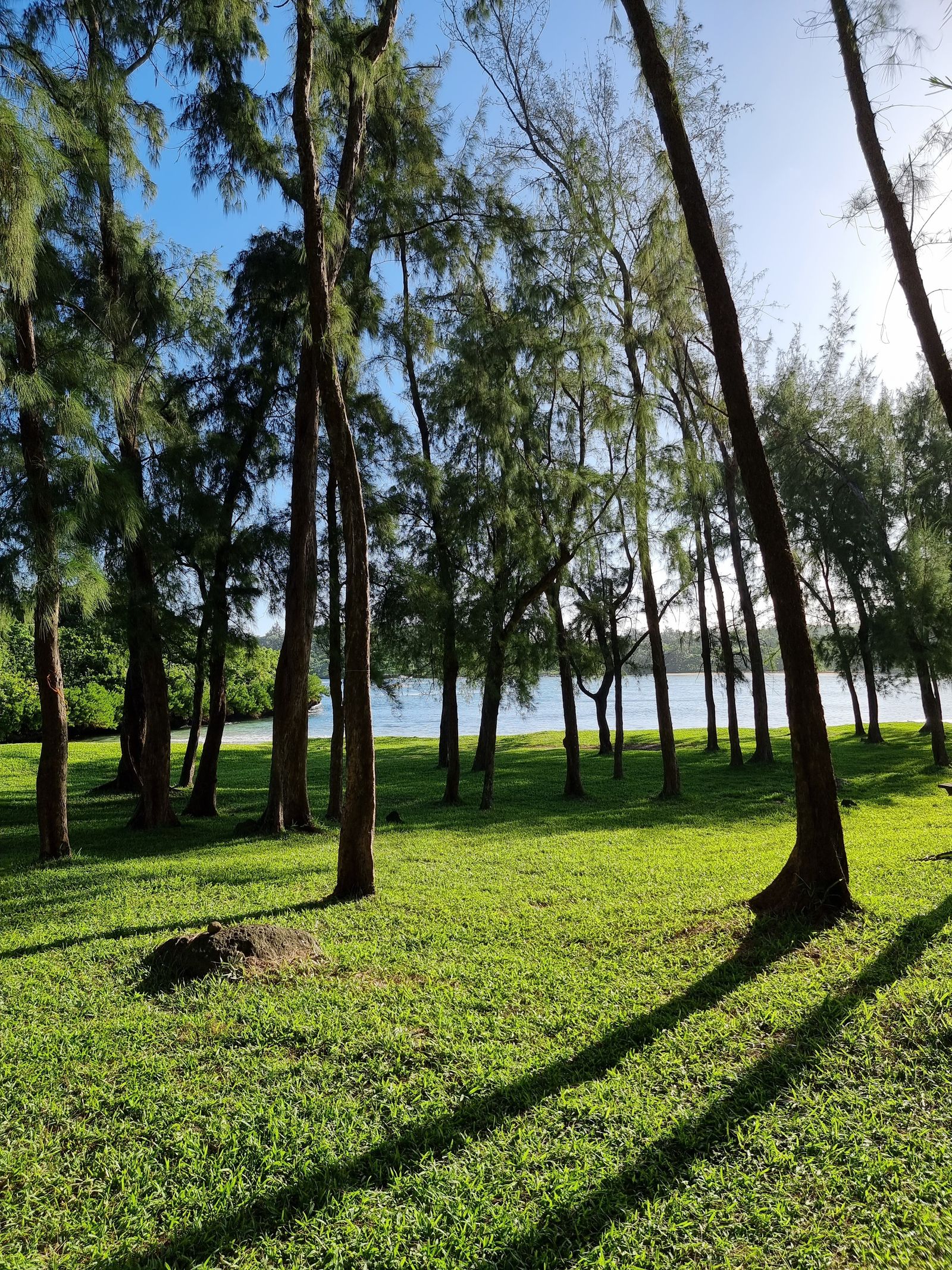 Paysage nature — Chamarel — Île Maurice — photo 5