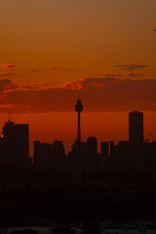 Free Capture of Sydney's skyline with a dramatic sunset backdrop highlighting the iconic Sydney Tower. Stock Photo