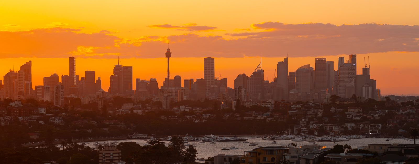 Stunning view of Sydney's skyline at sunset, featuring the iconic Sydney Tower against a brilliant orange sky.