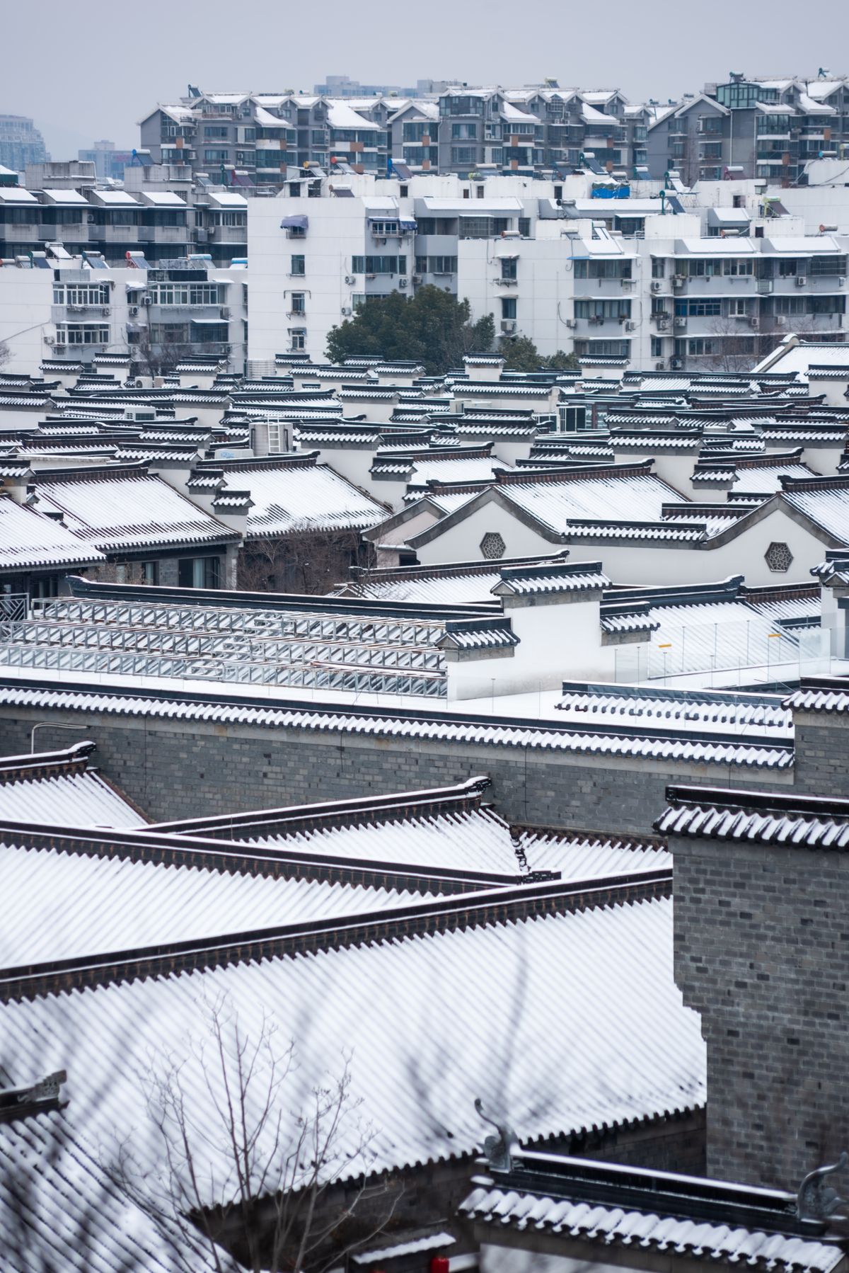 Traditional Chinese Architecture Rooftop View · Free Stock Photo
